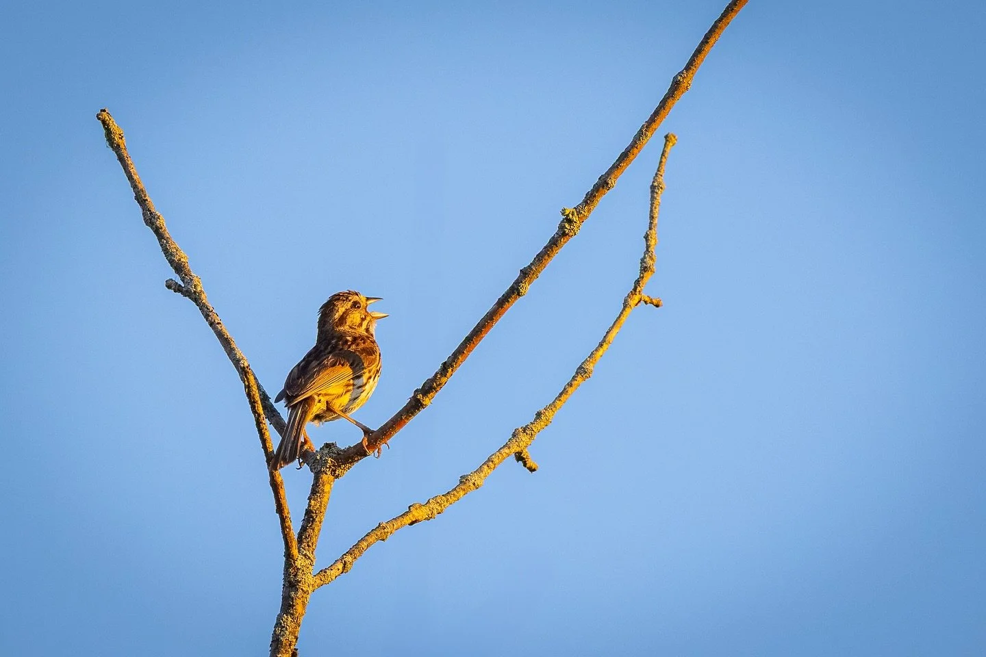 Lion&rsquo;s Den Gorge Nature Preserve