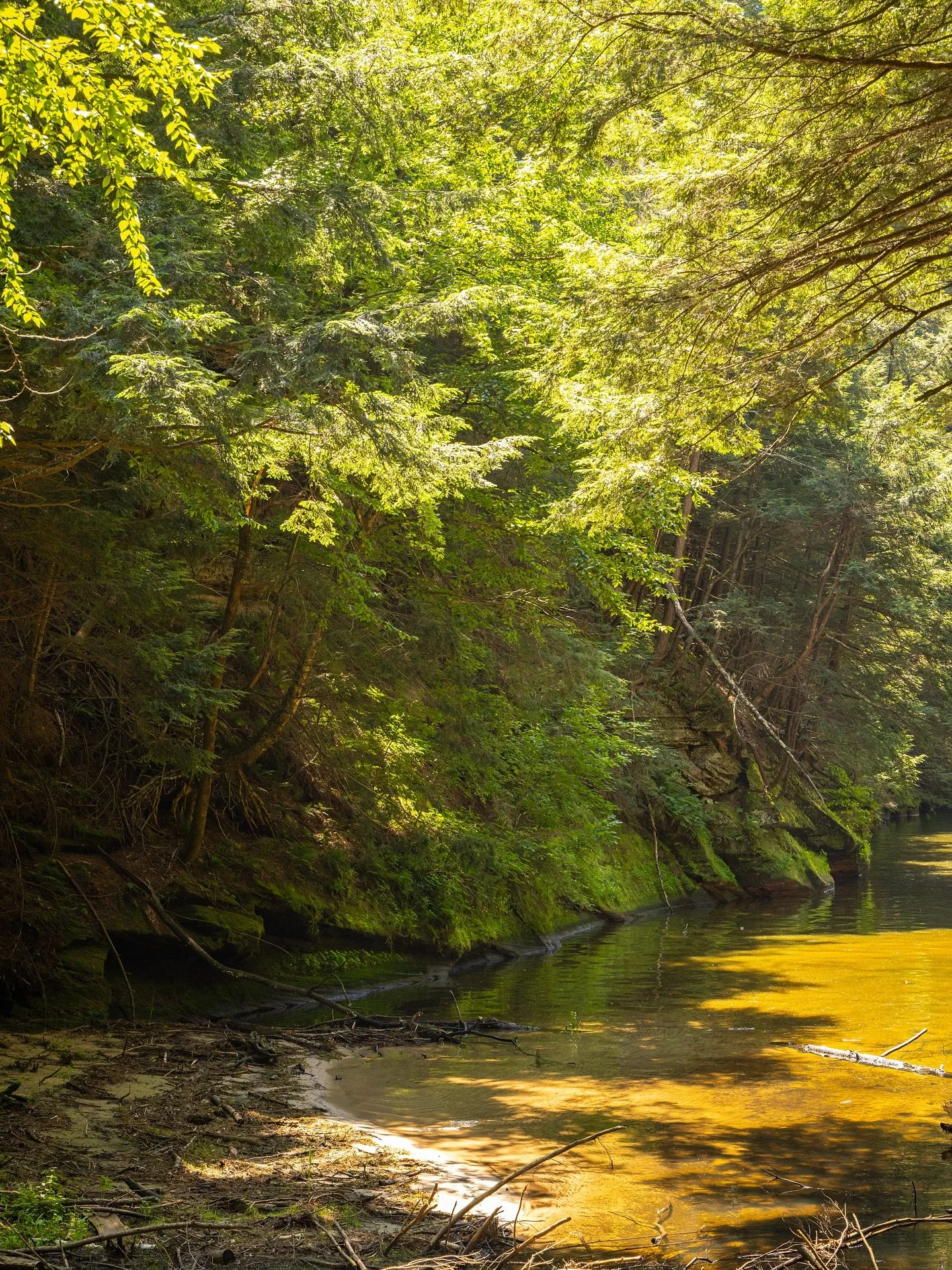 I don&rsquo;t wanna survive, I wanna live