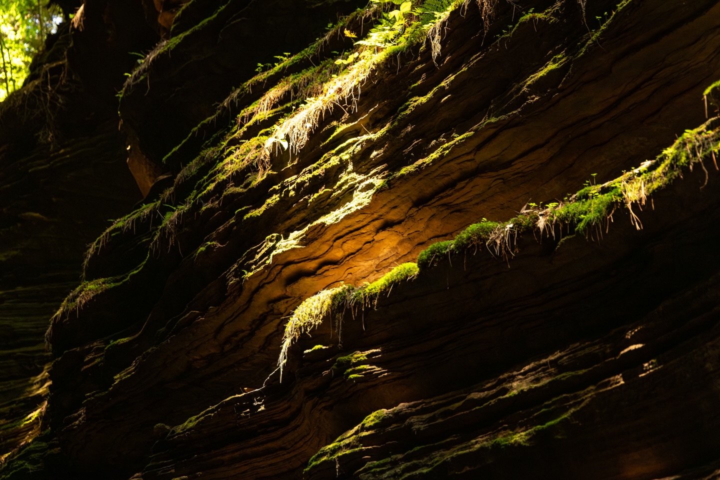 &ldquo;portal open&rdquo;