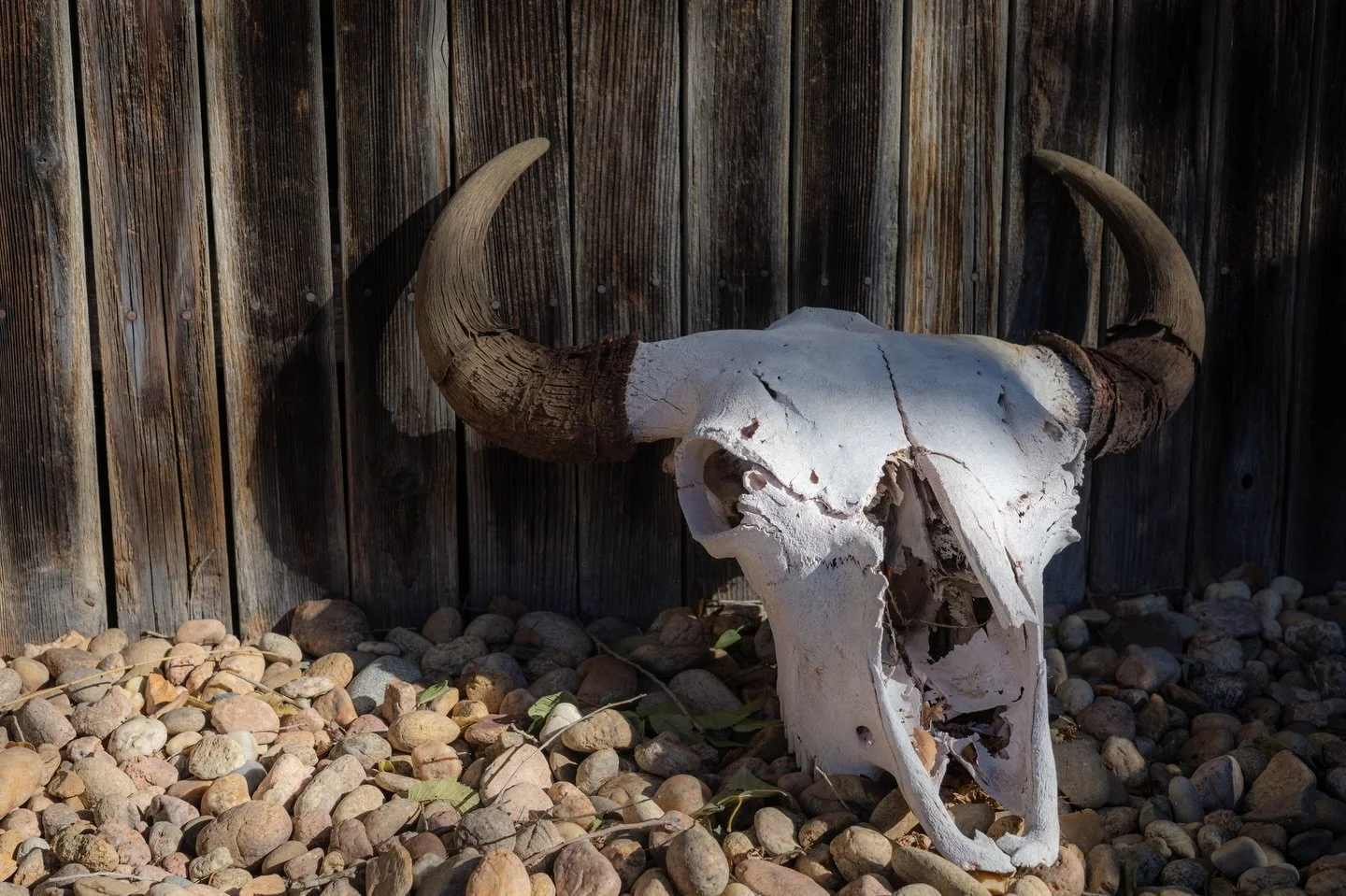 &ldquo;tougher than time&rdquo;