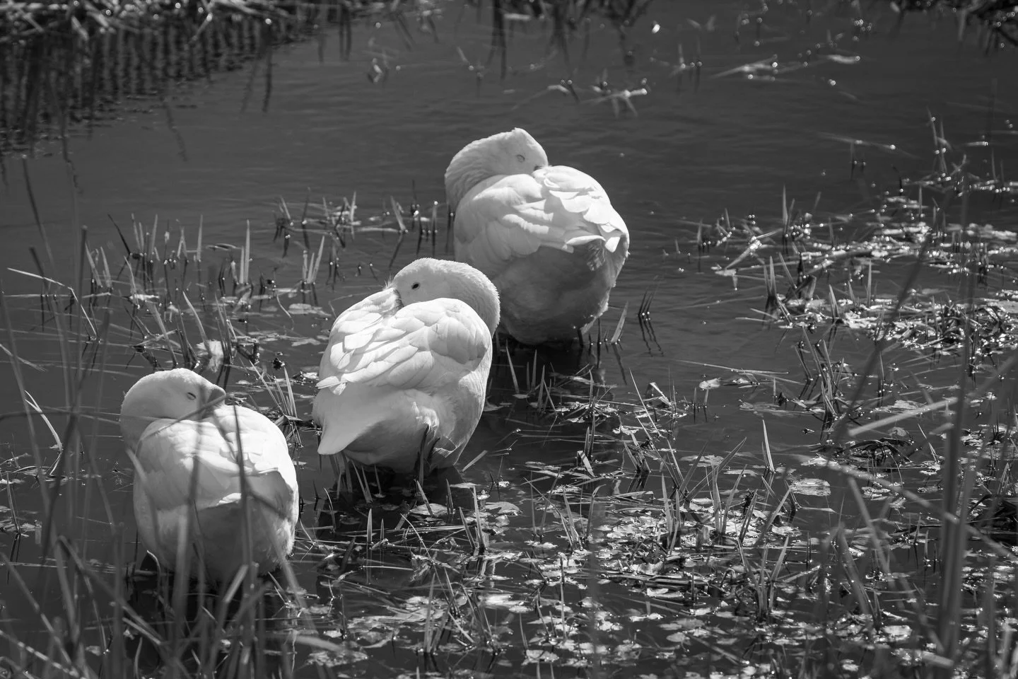 &ldquo;sleep tight&rdquo;