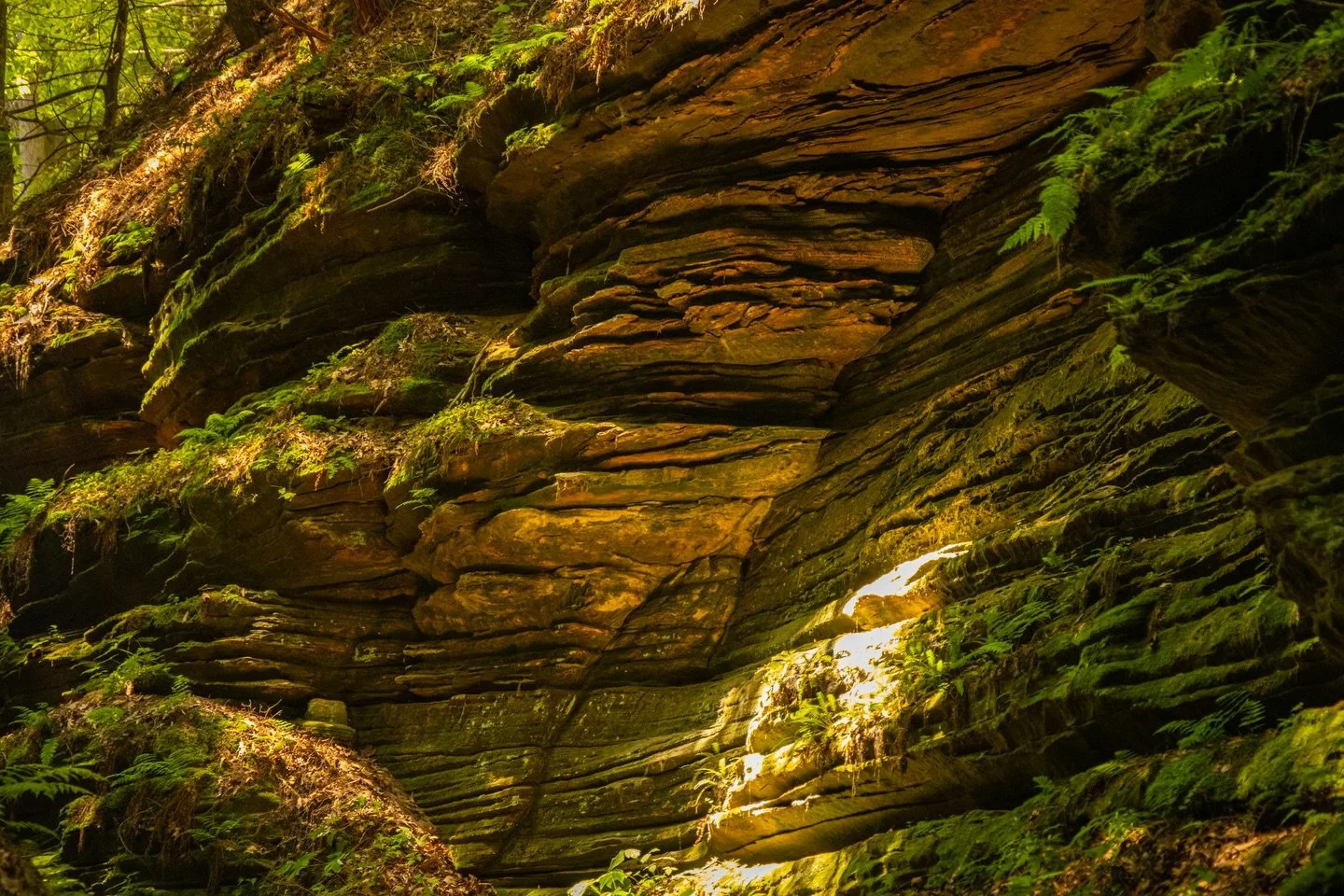 &ldquo;golden hour preserved&rdquo;