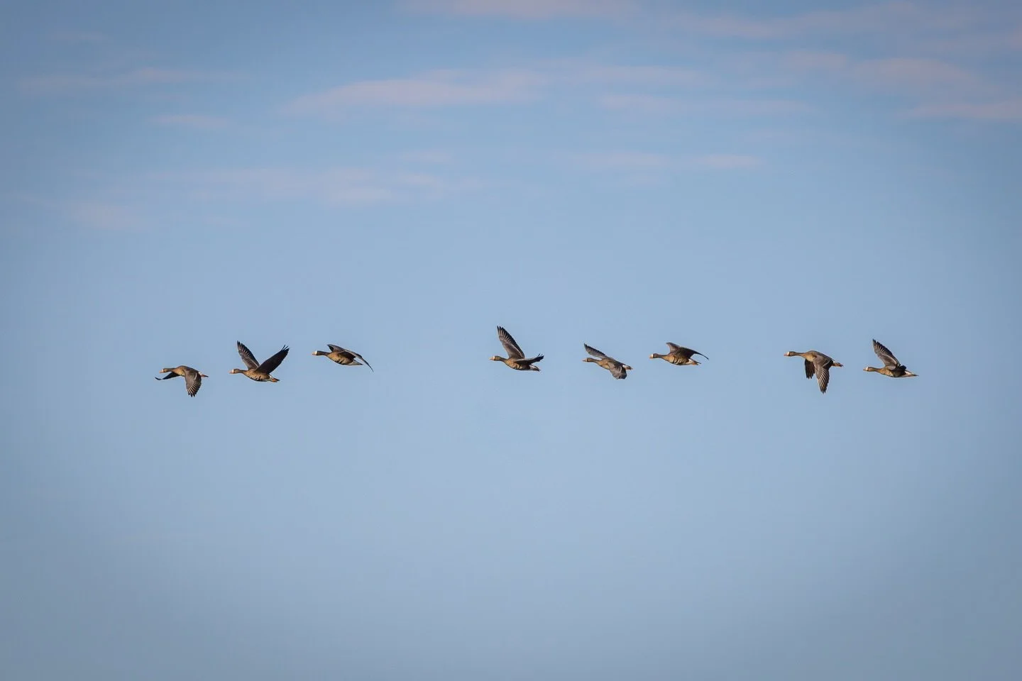 &ldquo;single file&rdquo;