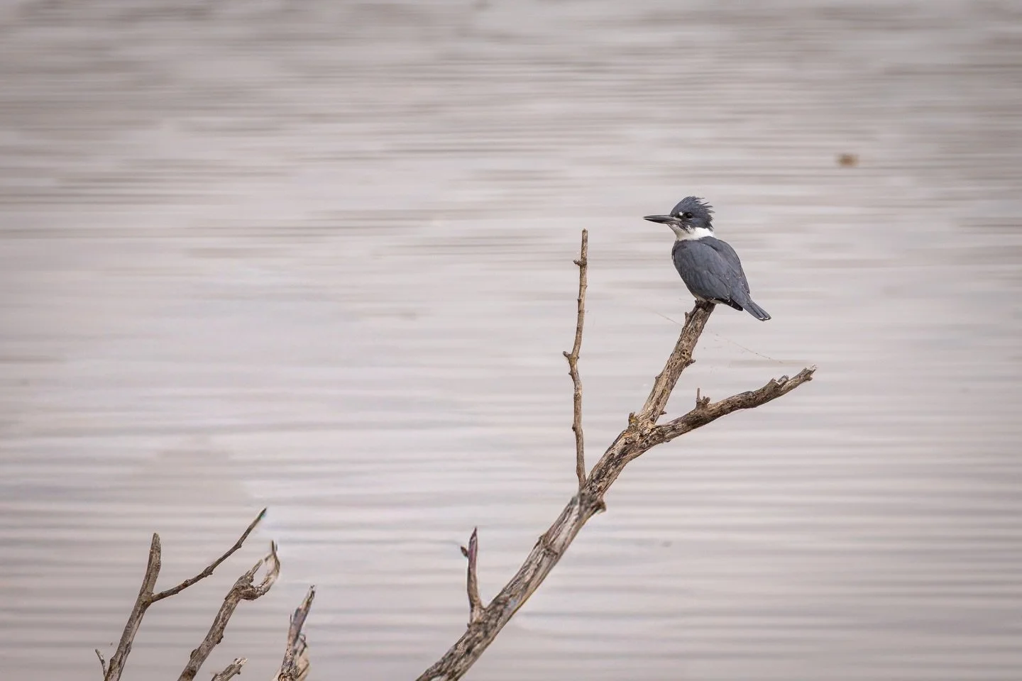 early bird gets the worm 🪱