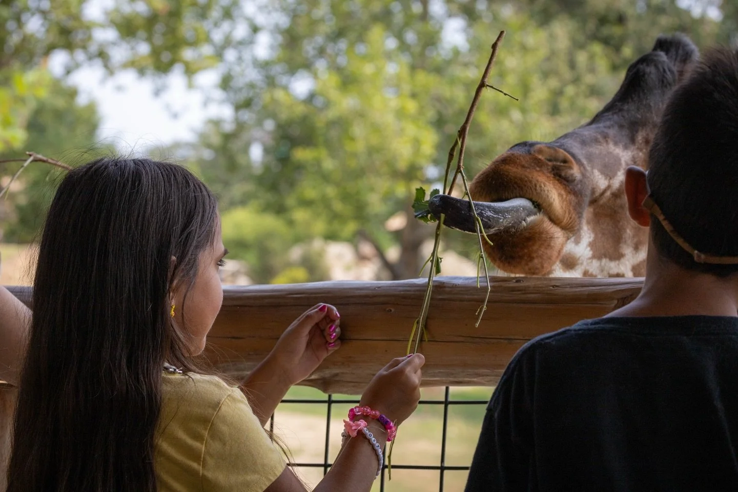 make sure you vote to help us secure the #1 zoo in the nation for the 4th year in a row!

checkout the link in the @theomahazoo bio for info on how to vote 🙏