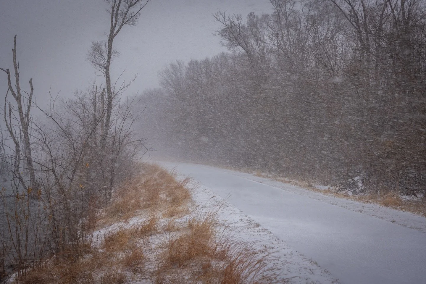 a winter wonderland ❄️