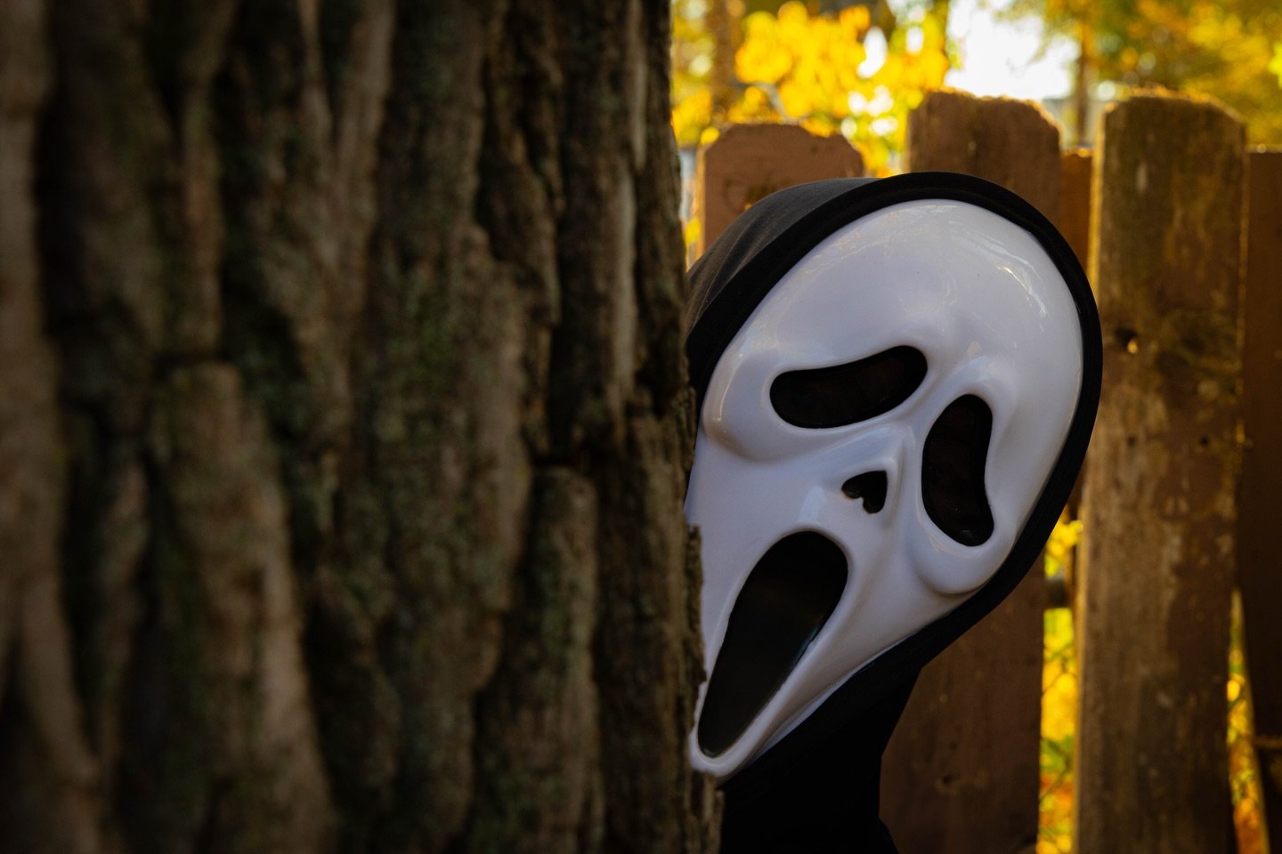 what&rsquo;s your favorite scary movie? 

#scream #scream7