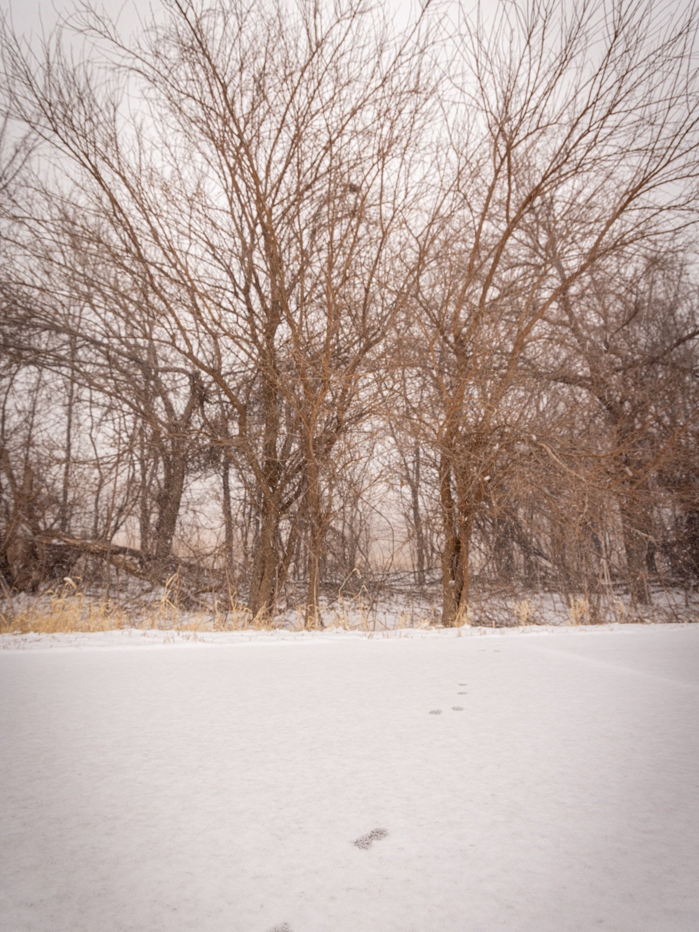 not ready to go back to this kind of weather&hellip;