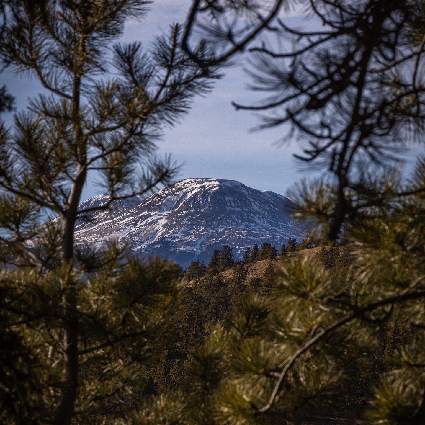 take the pain and make it sing like church 🎶