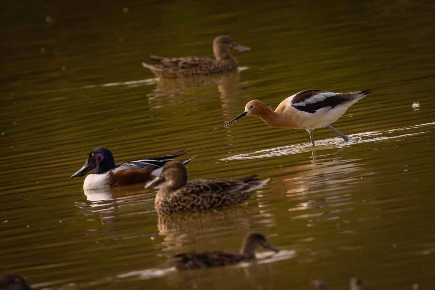 quit being so nosey 👃