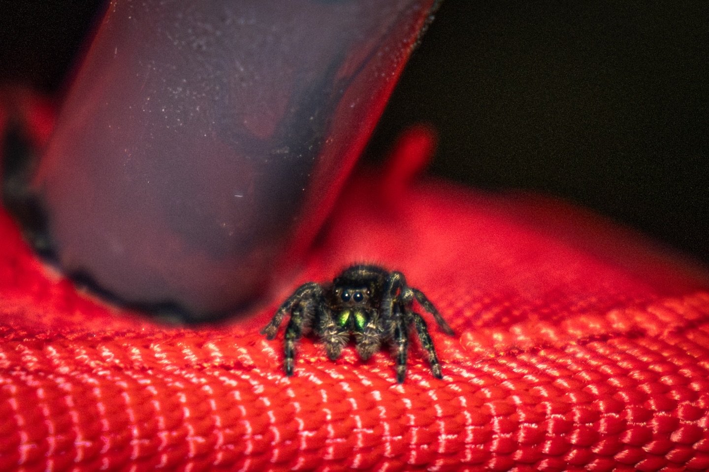 &ldquo;jump scare&rdquo;