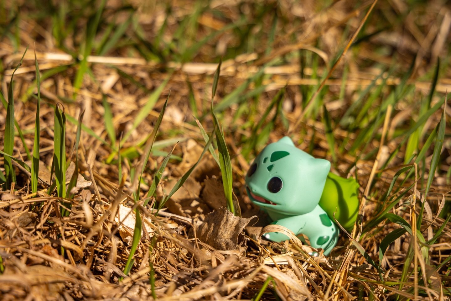 the grass is sometimes greener&hellip;