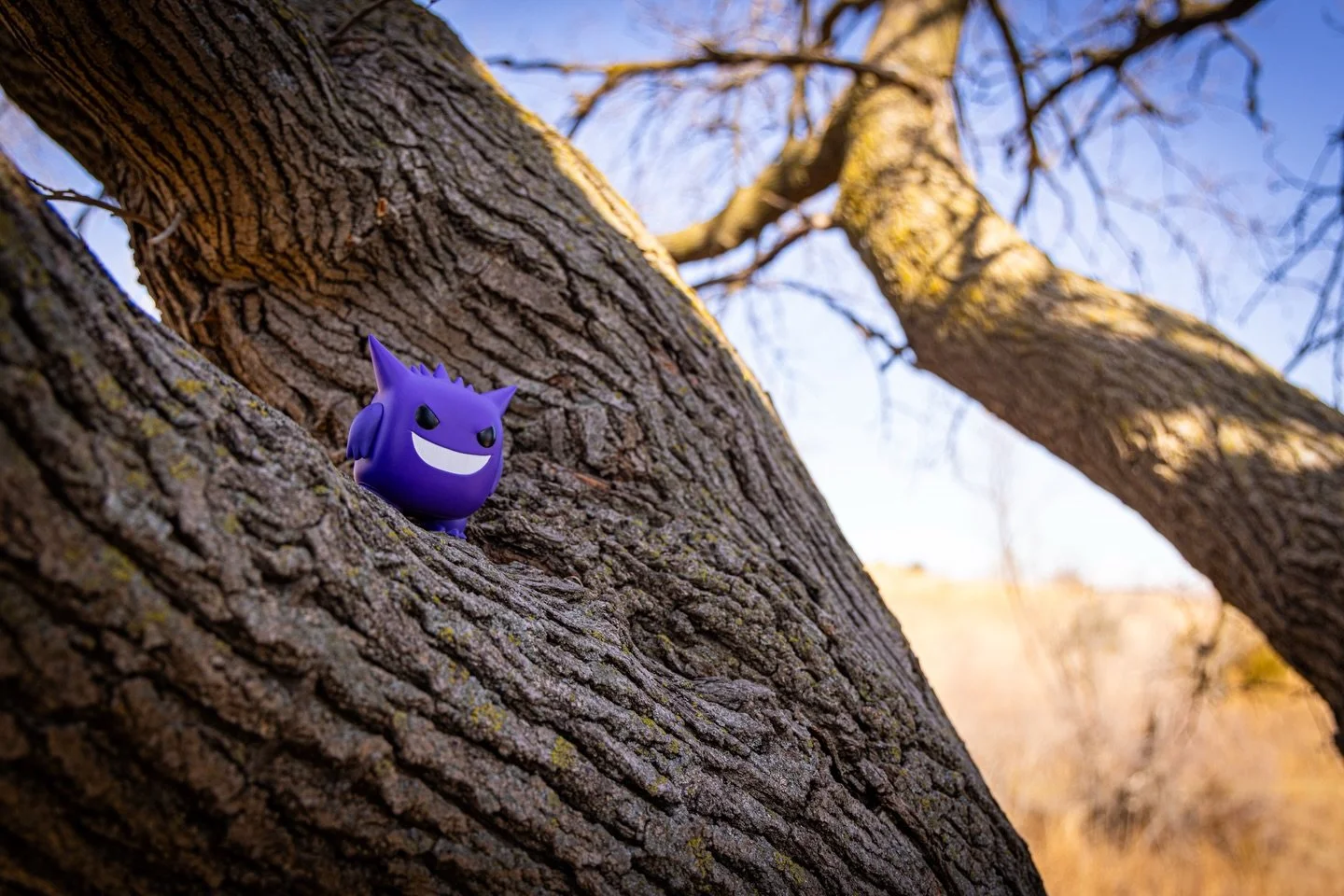 battles in the mind 😈