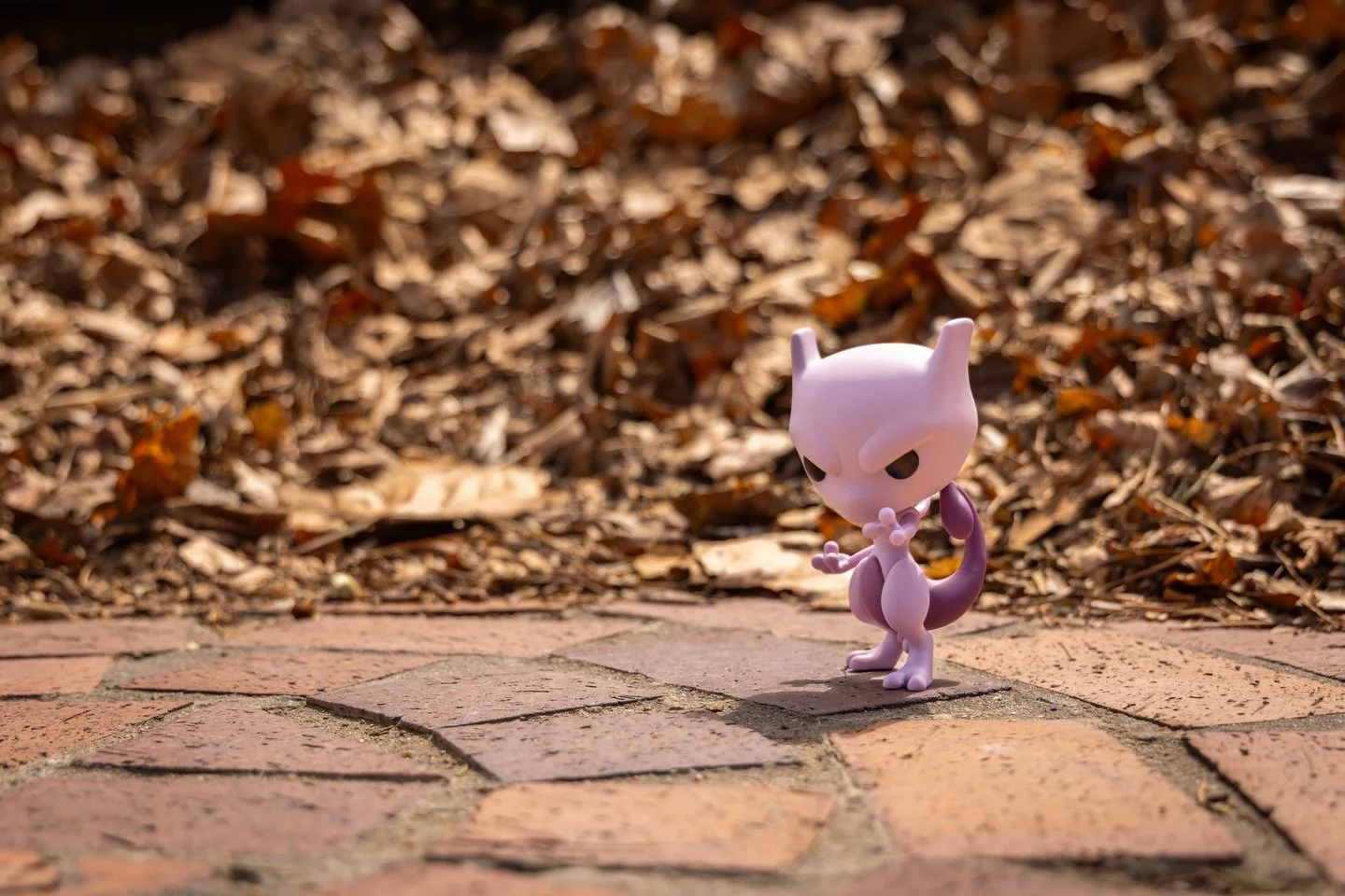 don&rsquo;t believe anything you hear today&hellip;