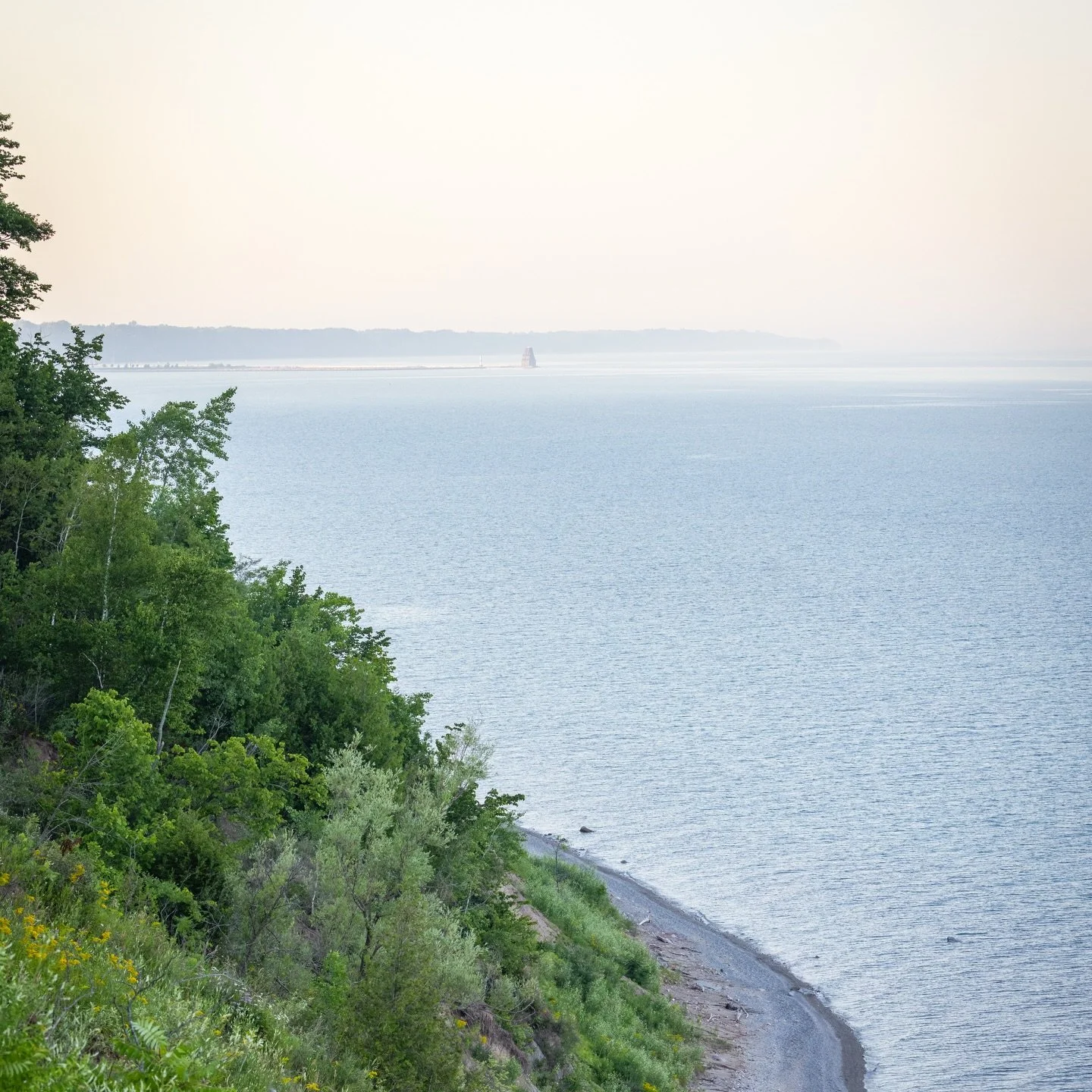 &ldquo;let you down&rdquo;