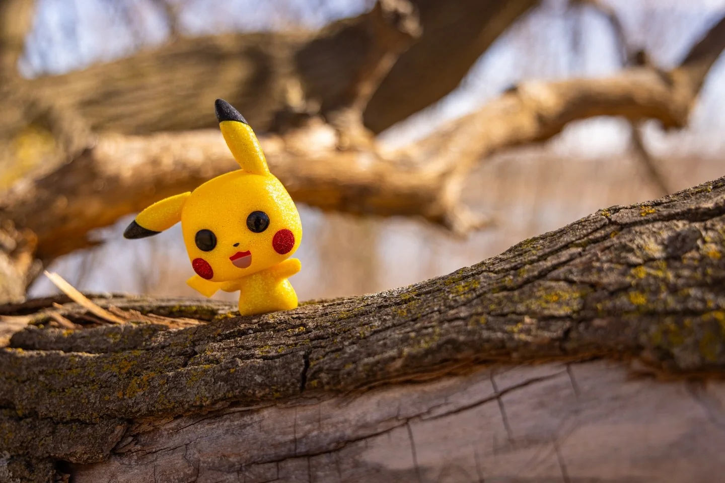 ascended heroes ⚡️