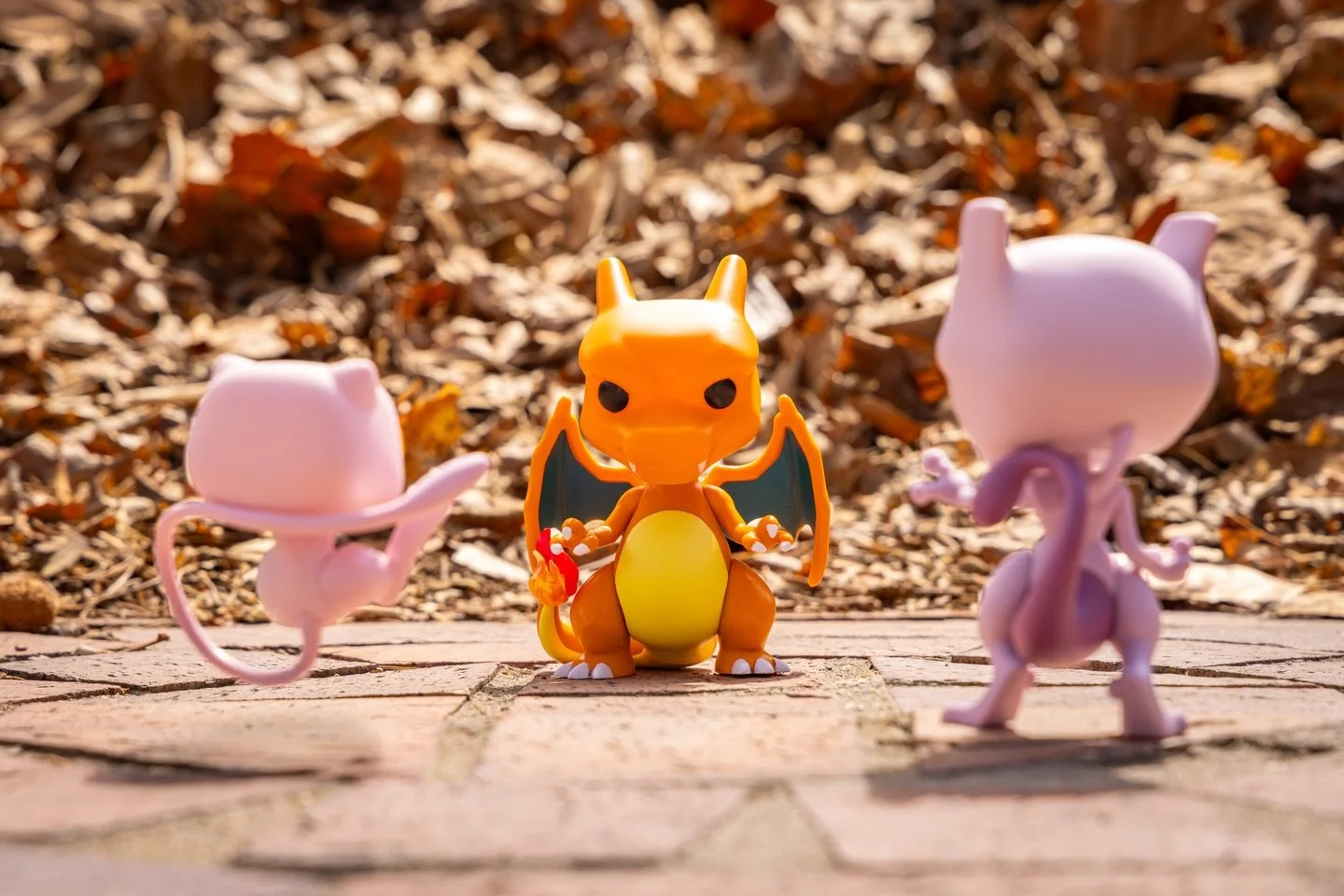 &ldquo;chaos rising&rdquo;