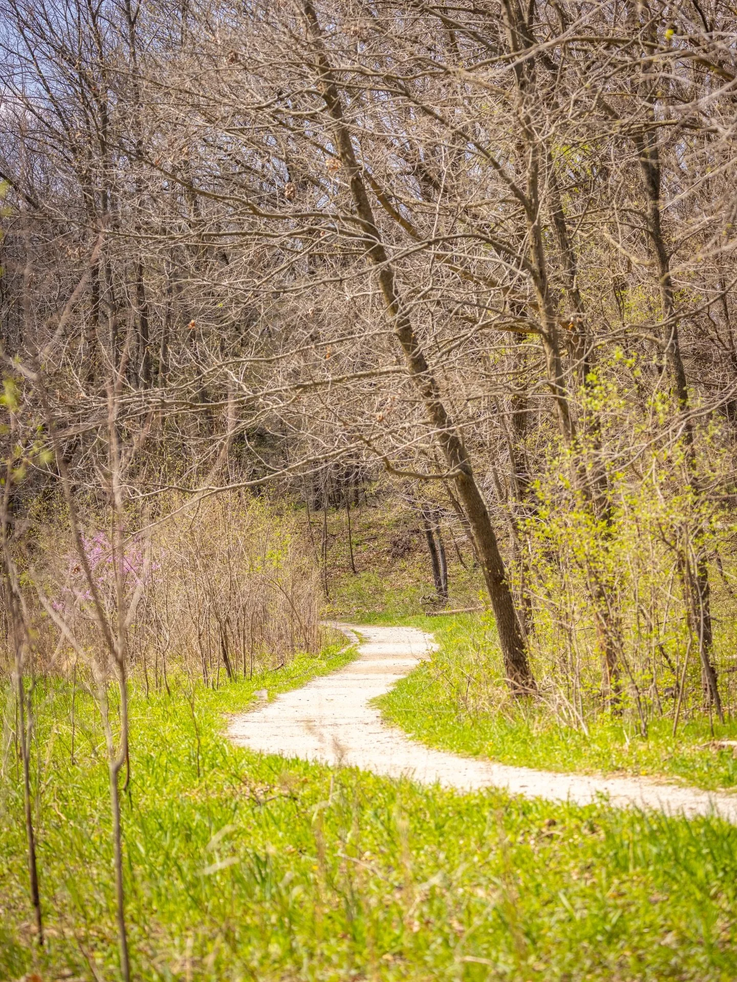 taking a quick walk in the park&hellip;