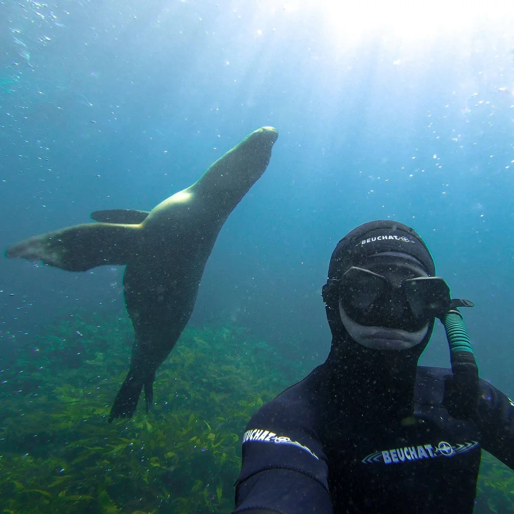 Freediving course Perth — Freediving Australia