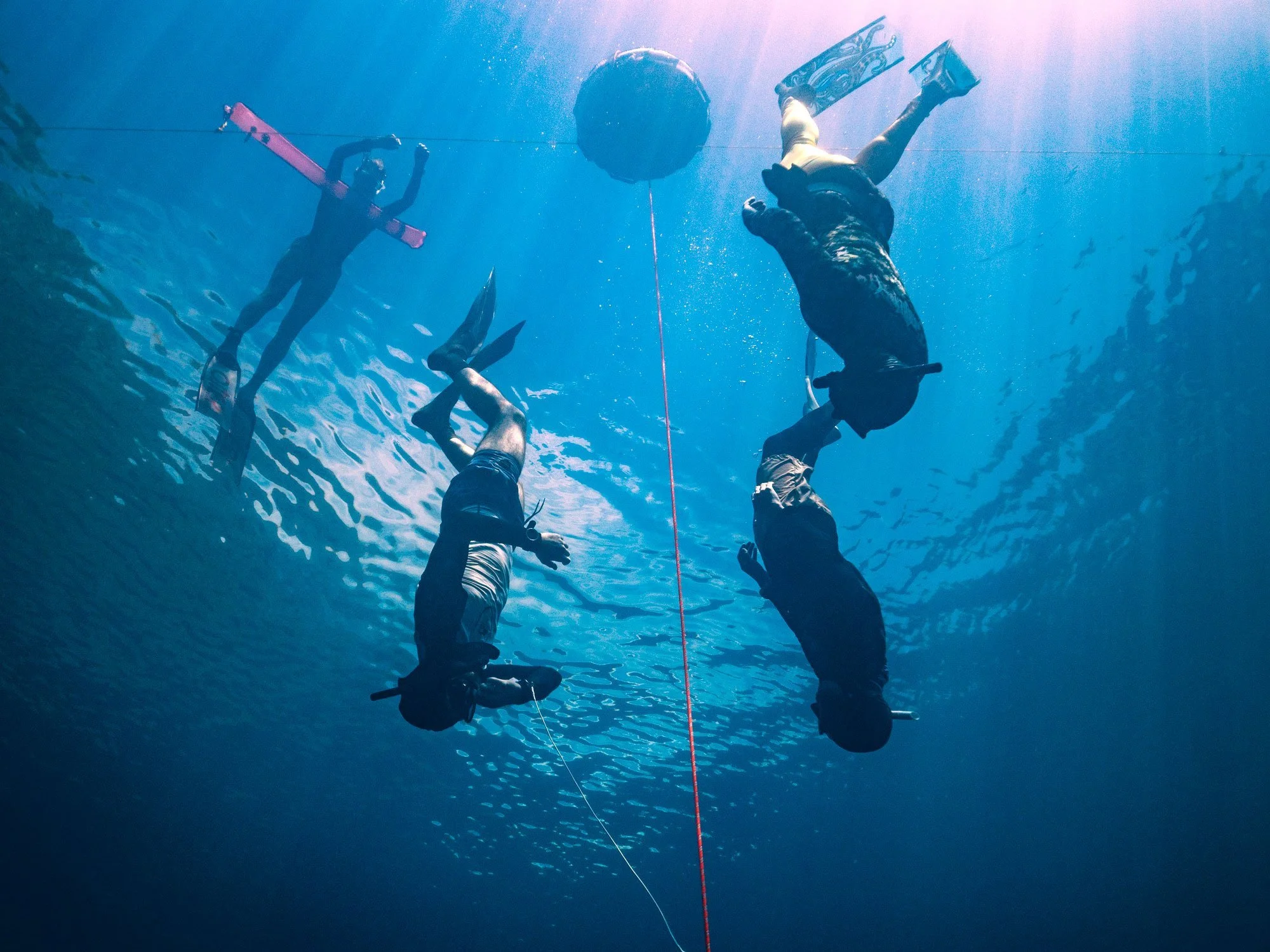 FREEDIVING COURSES BRISBANE