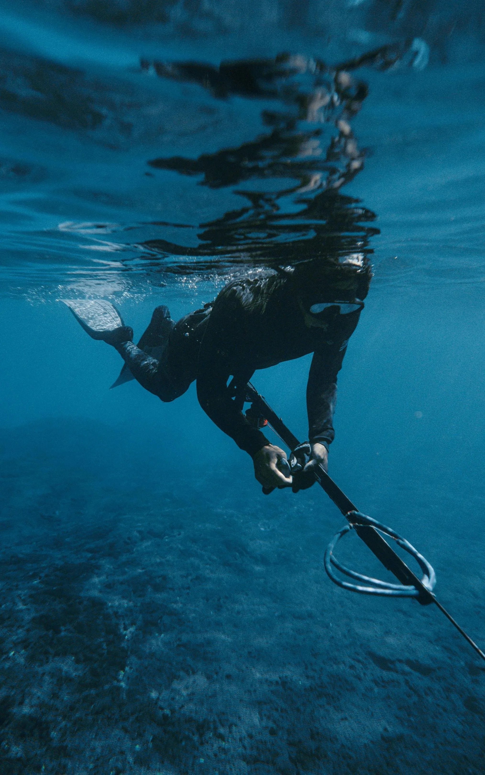 Freediving Course Gold Coast