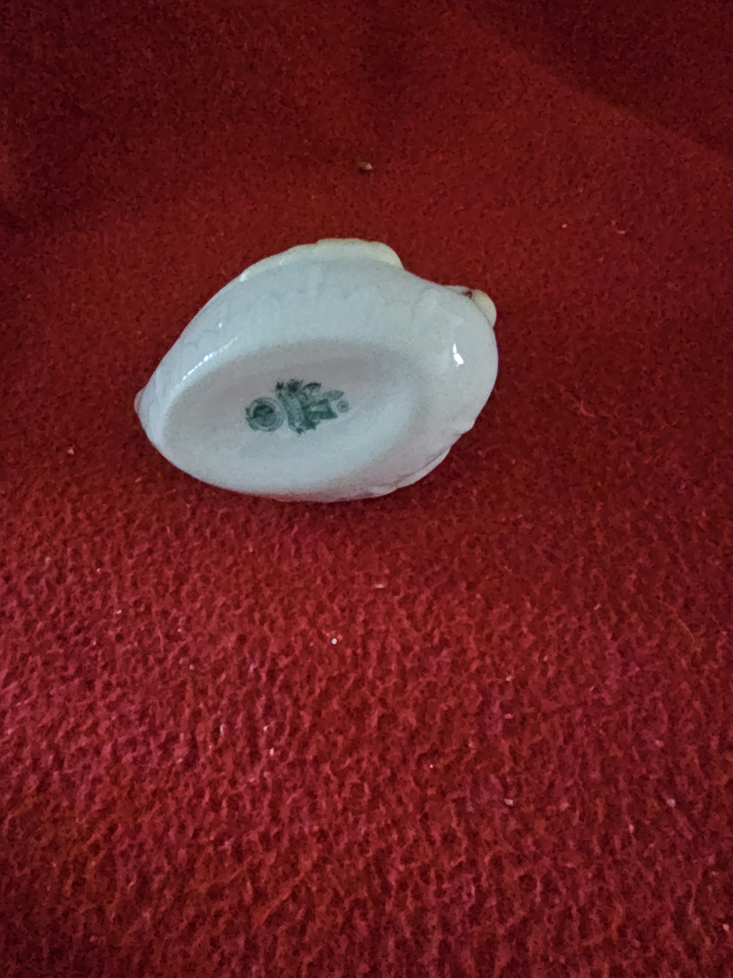 swan162920.jpg