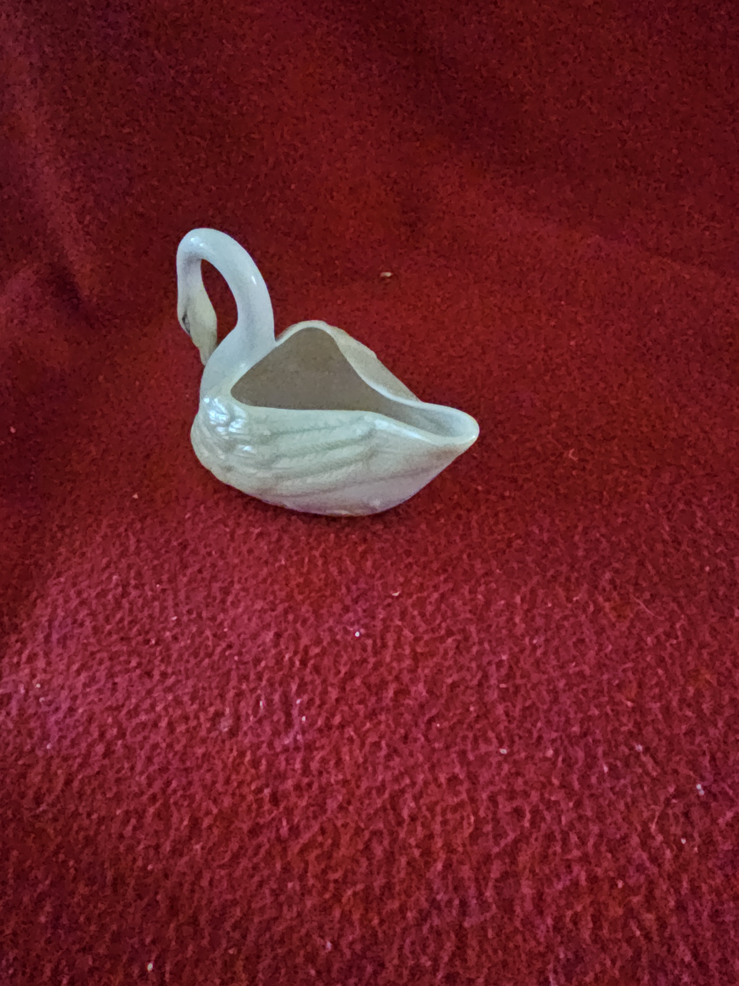 swan162945.jpg