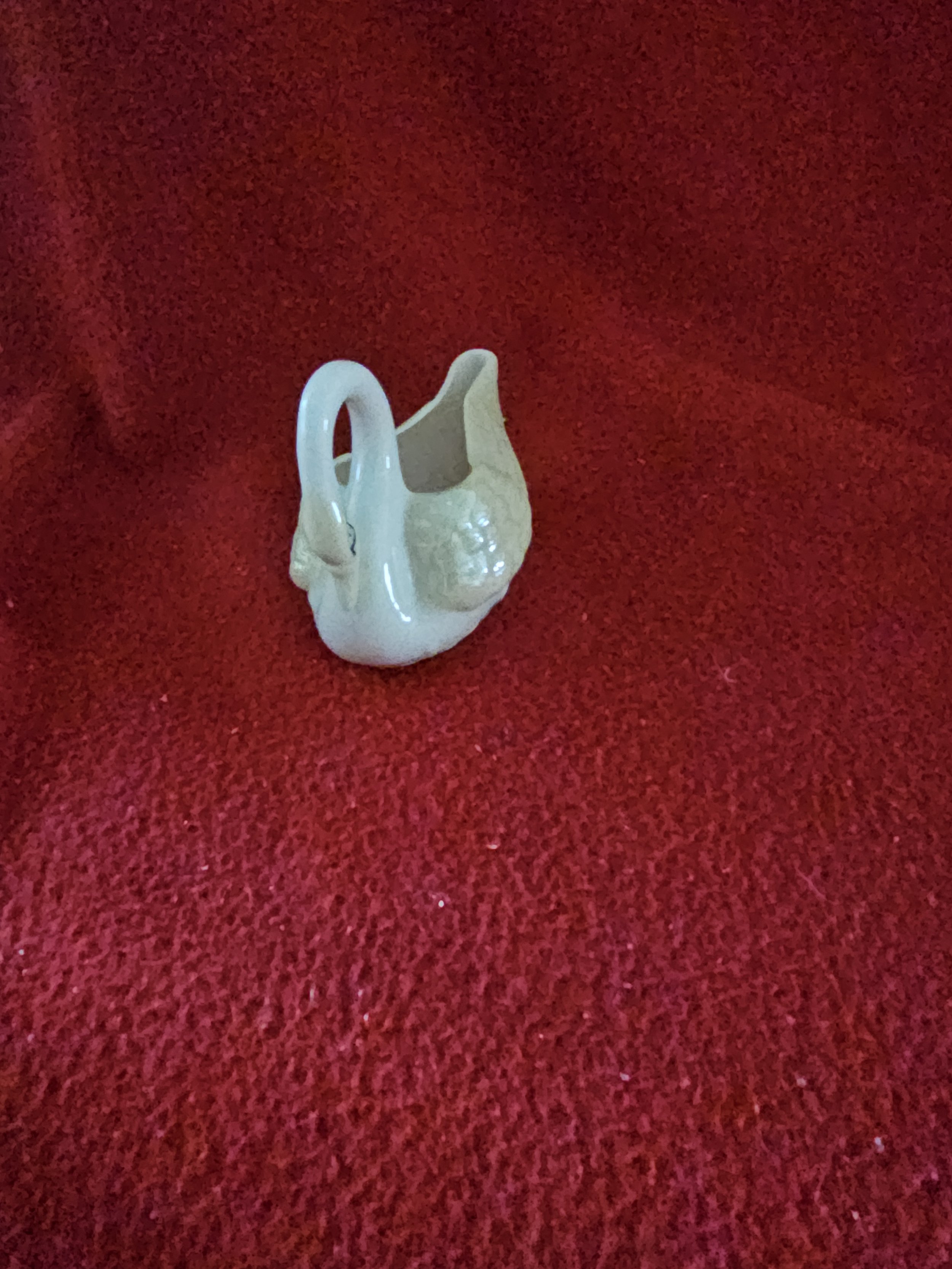 swan162939.jpg