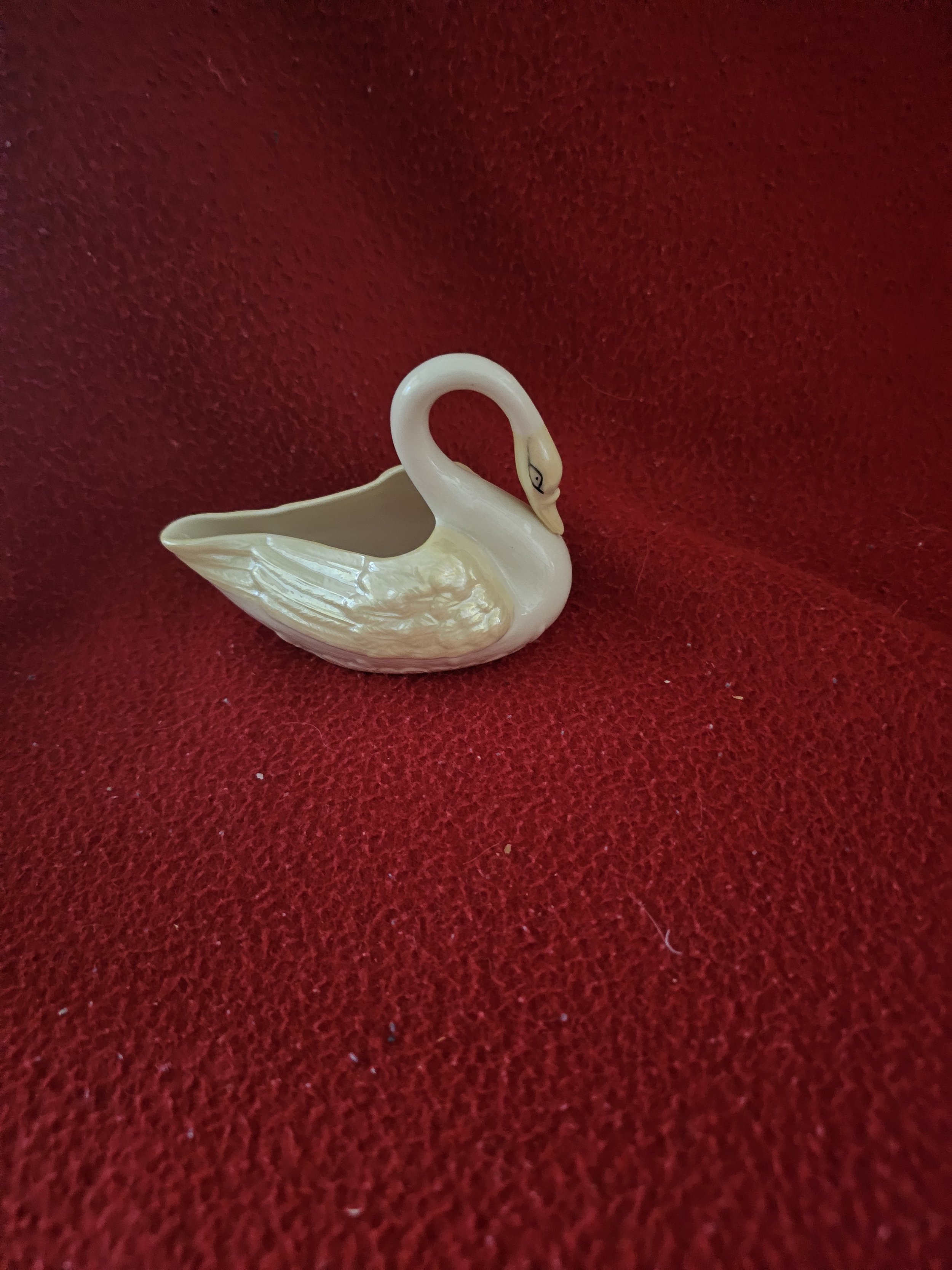 swan162927.jpg