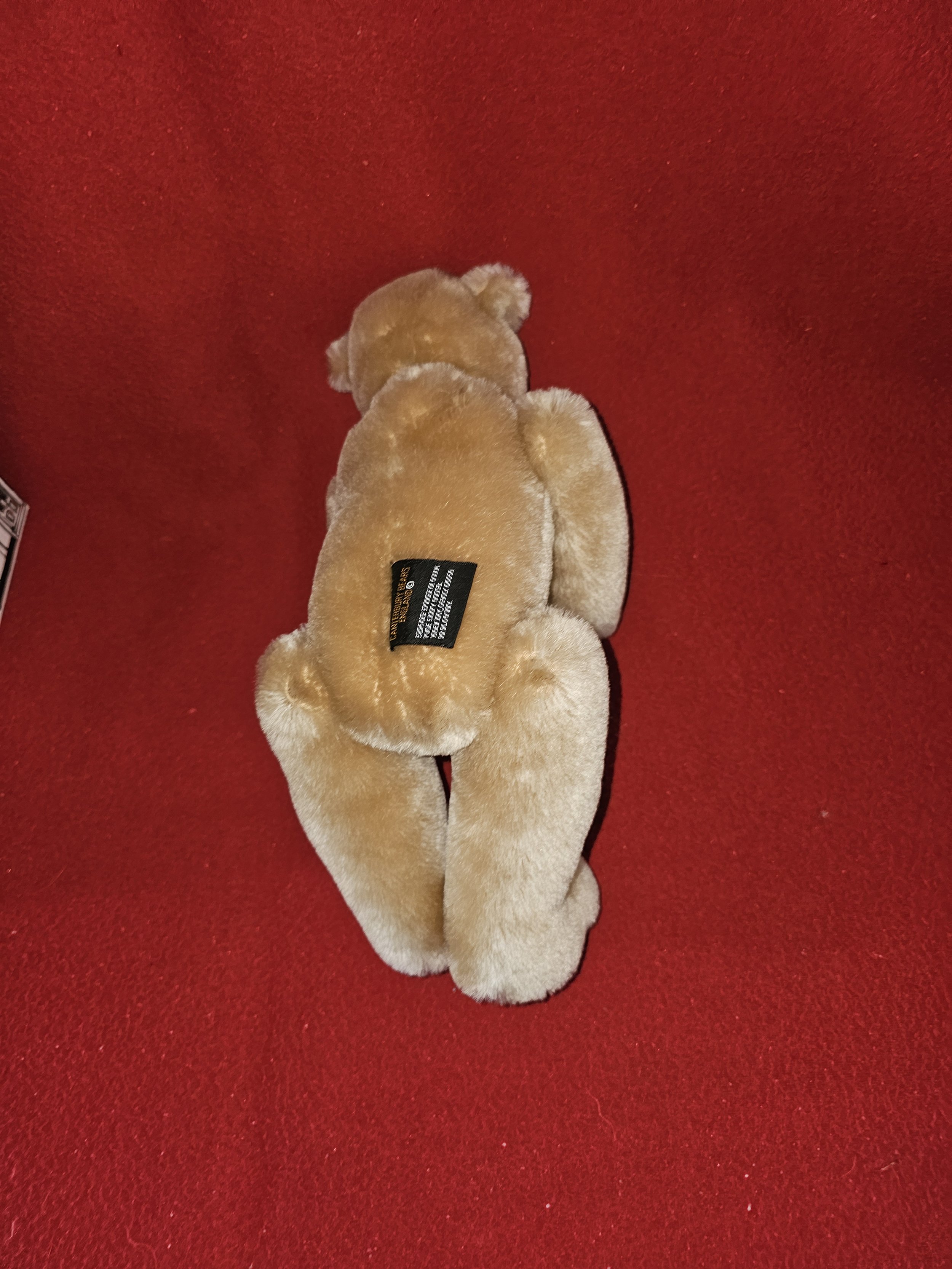 berkley_110701.jpg