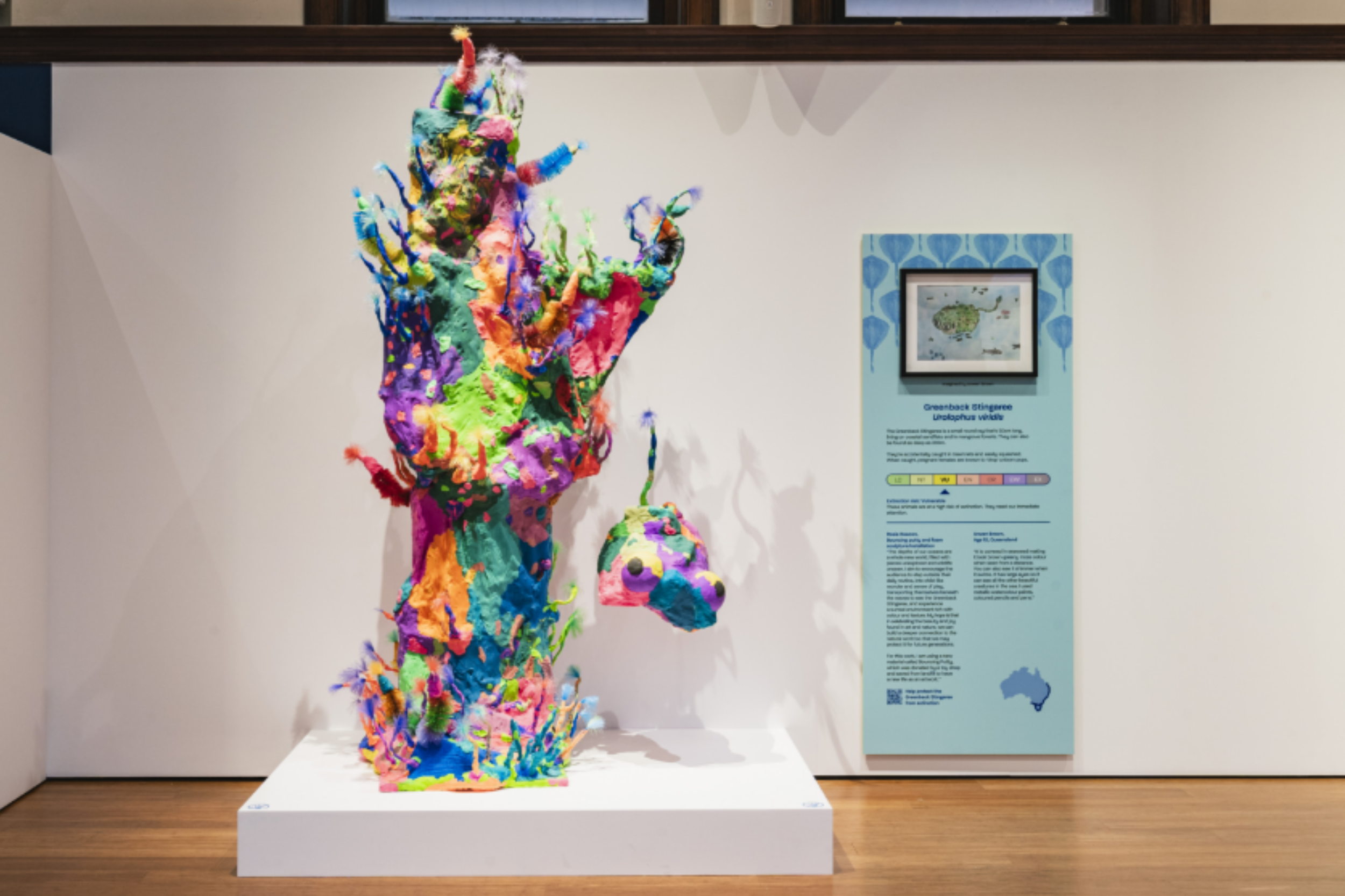 Australian Marine Conservation Society — Fantastical Sharks and Rays