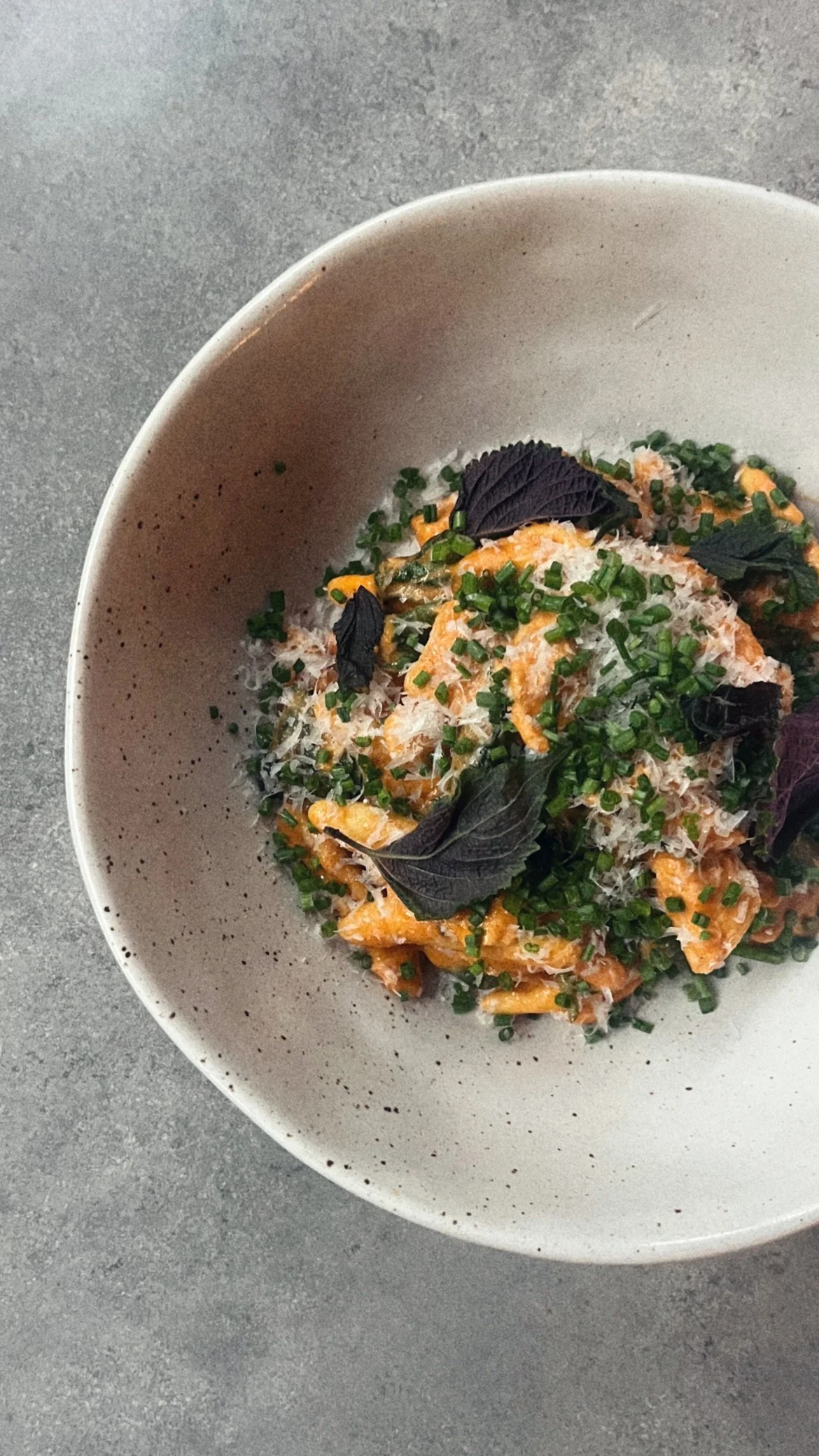 Cavatelli, Gochujang, Honey, Pecorino, Shiso.