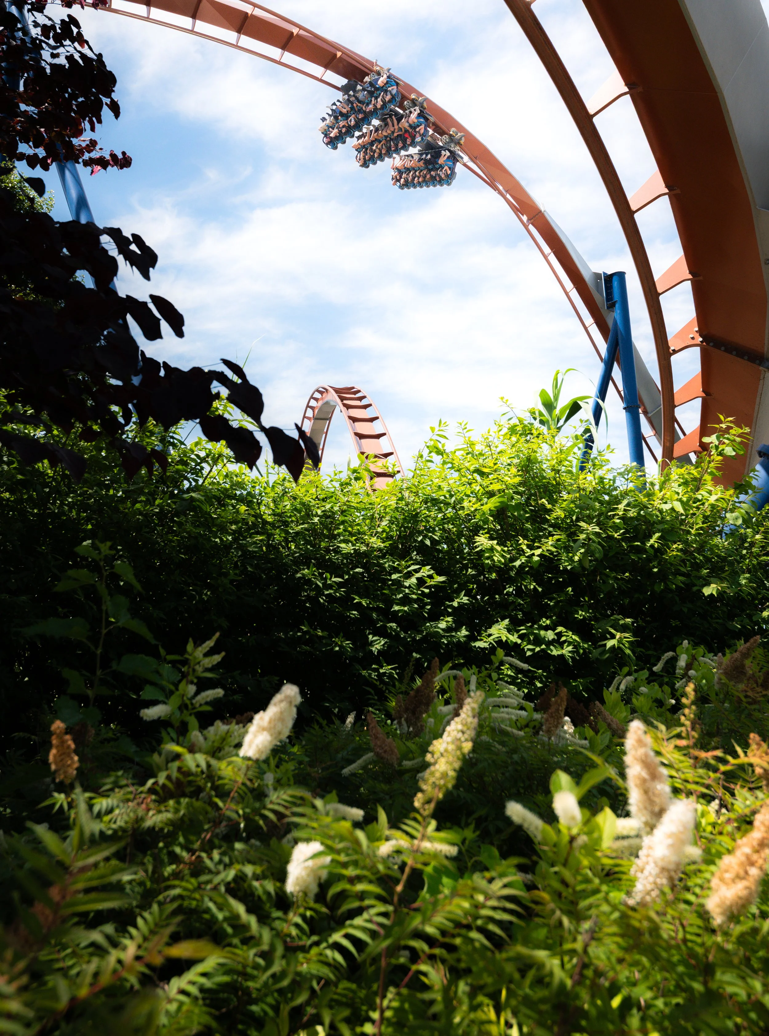 Cedar Point | Sandusky, OH