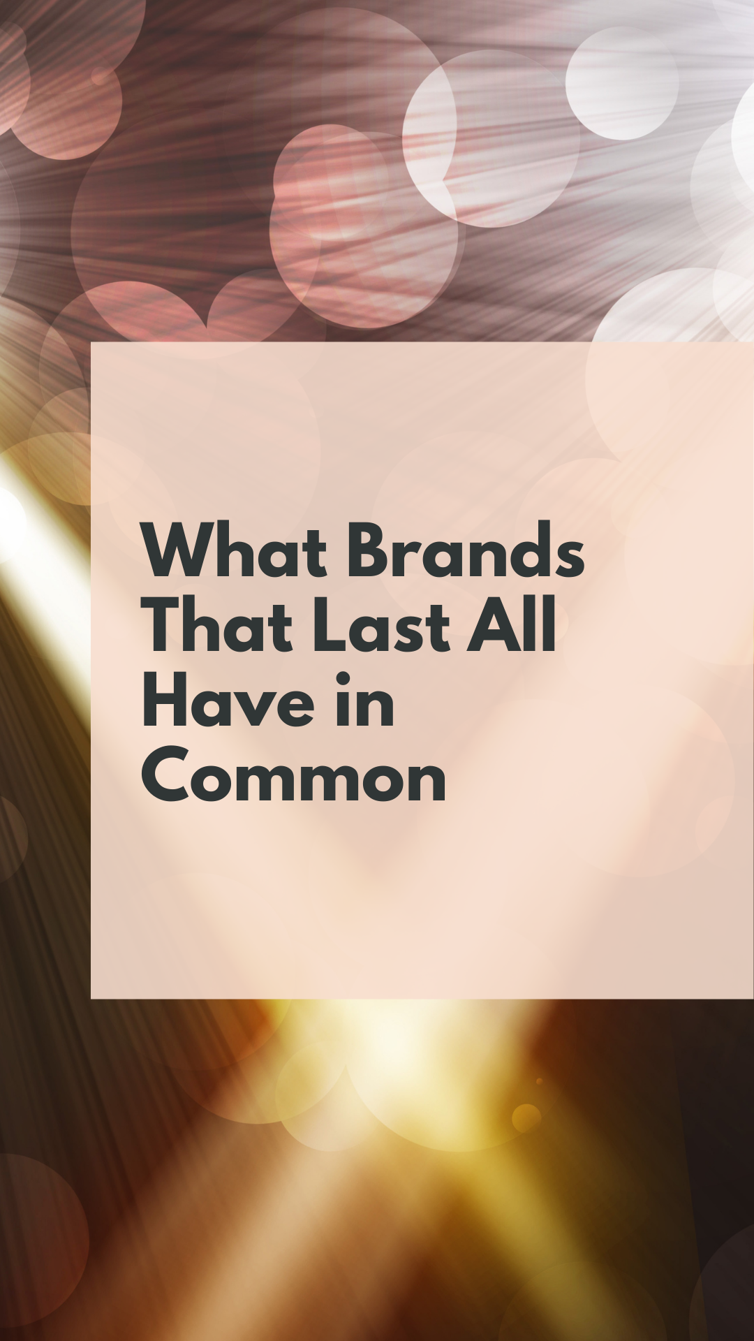 Five Brands That Built Something Real and the Lessons Worth Borrowing