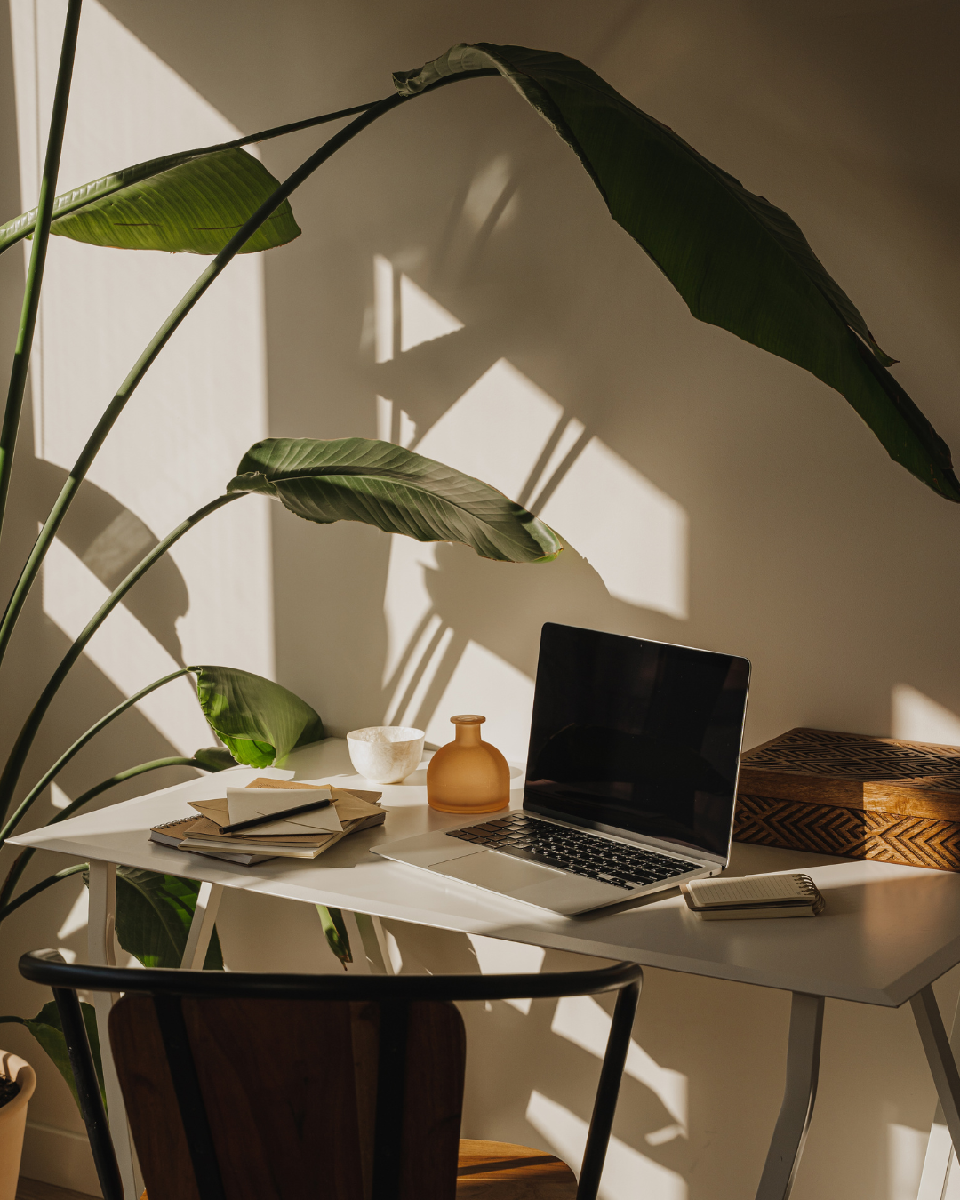 Sunlight casts shadows on a white desk with a laptop, notebooks, a small bowl, a brown vase, and a woven box, beside large leafy plants.