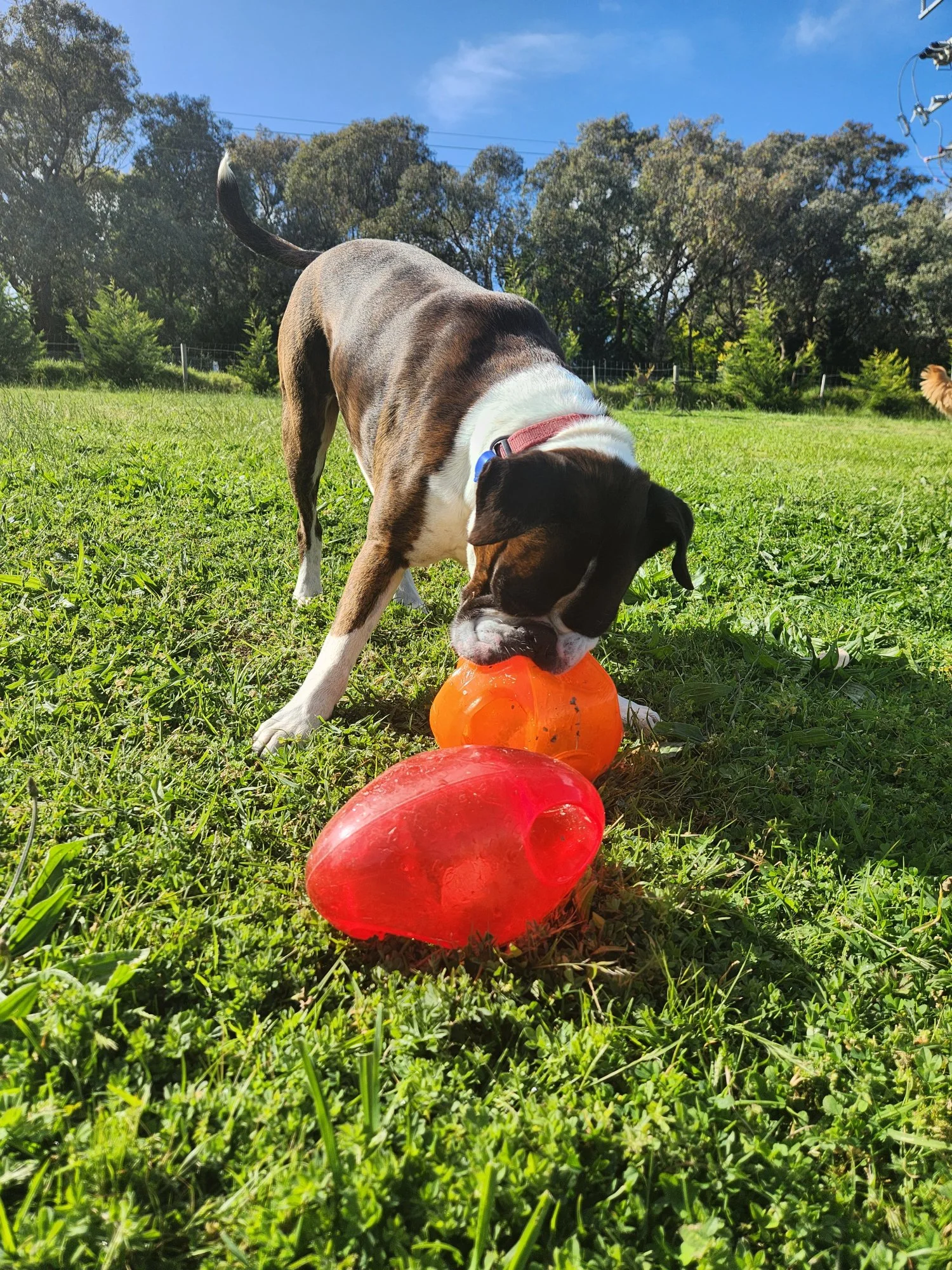 20231031_093647.jpg