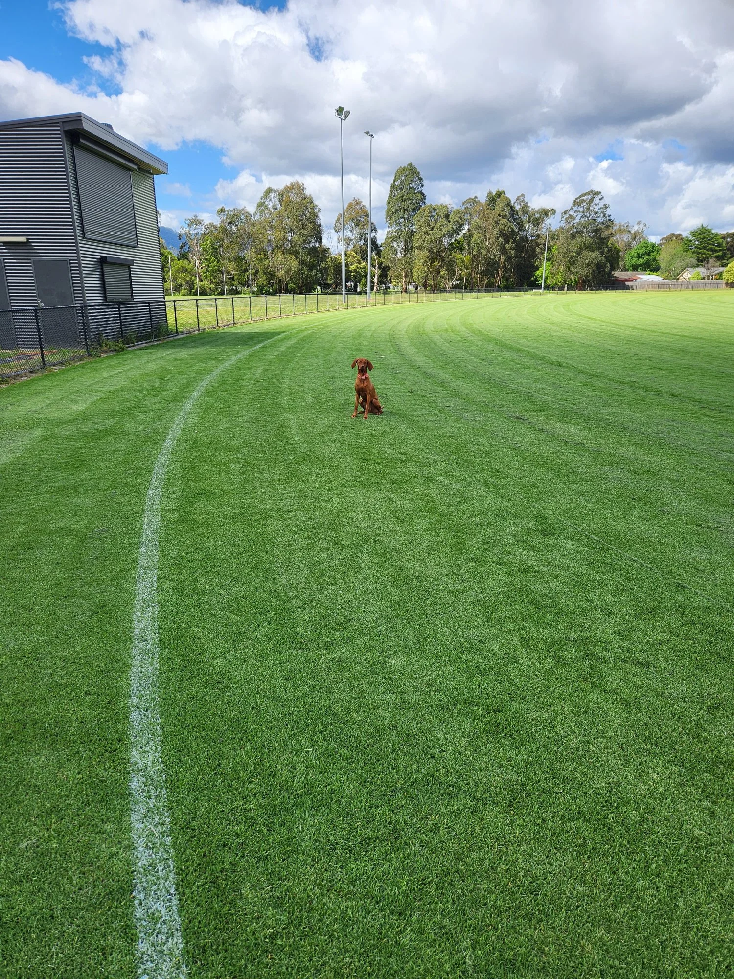 20231025_111521.jpg