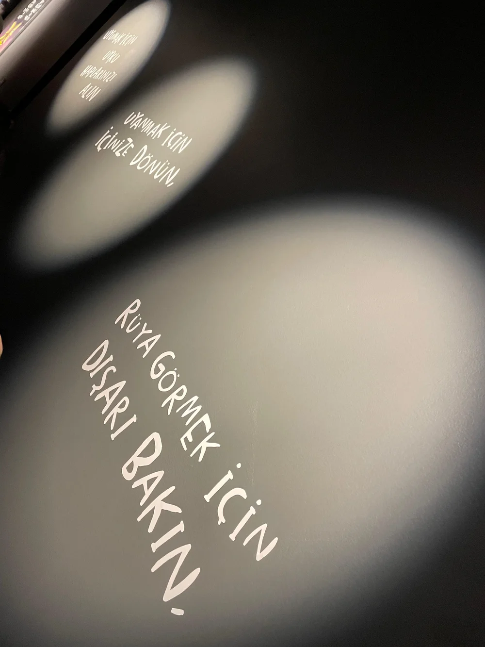 WhatsApp Image 2025-03-04 at 18.07.10.jpeg