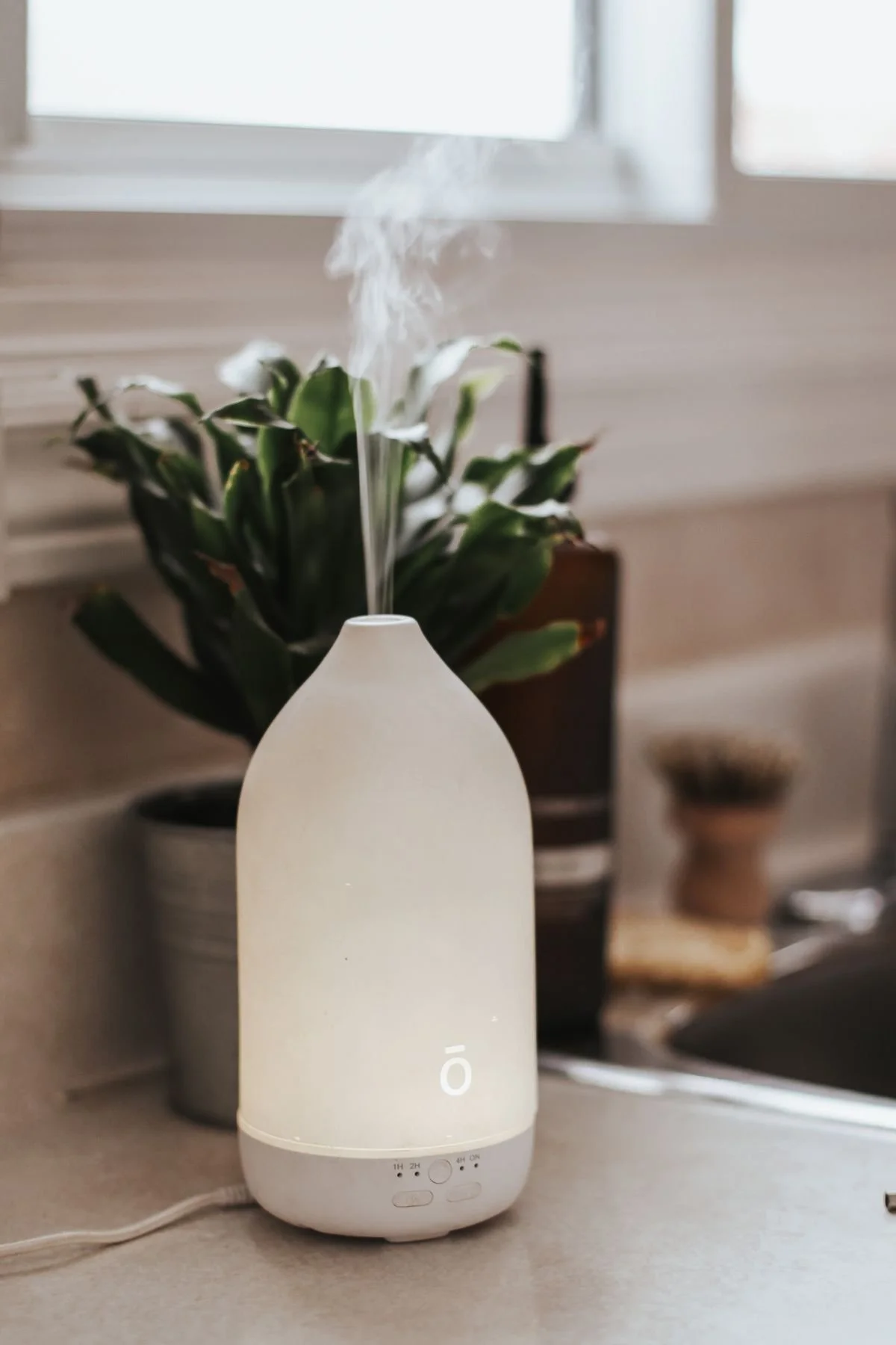 Diffuser Blend -Immune Support