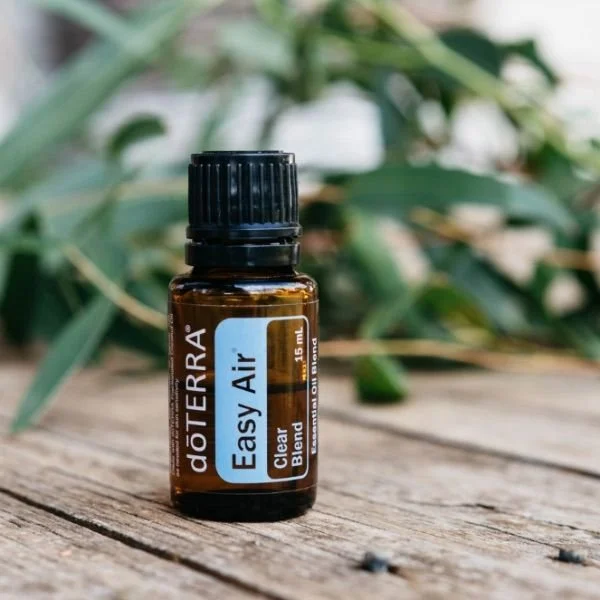 Easy Air Image.jpg