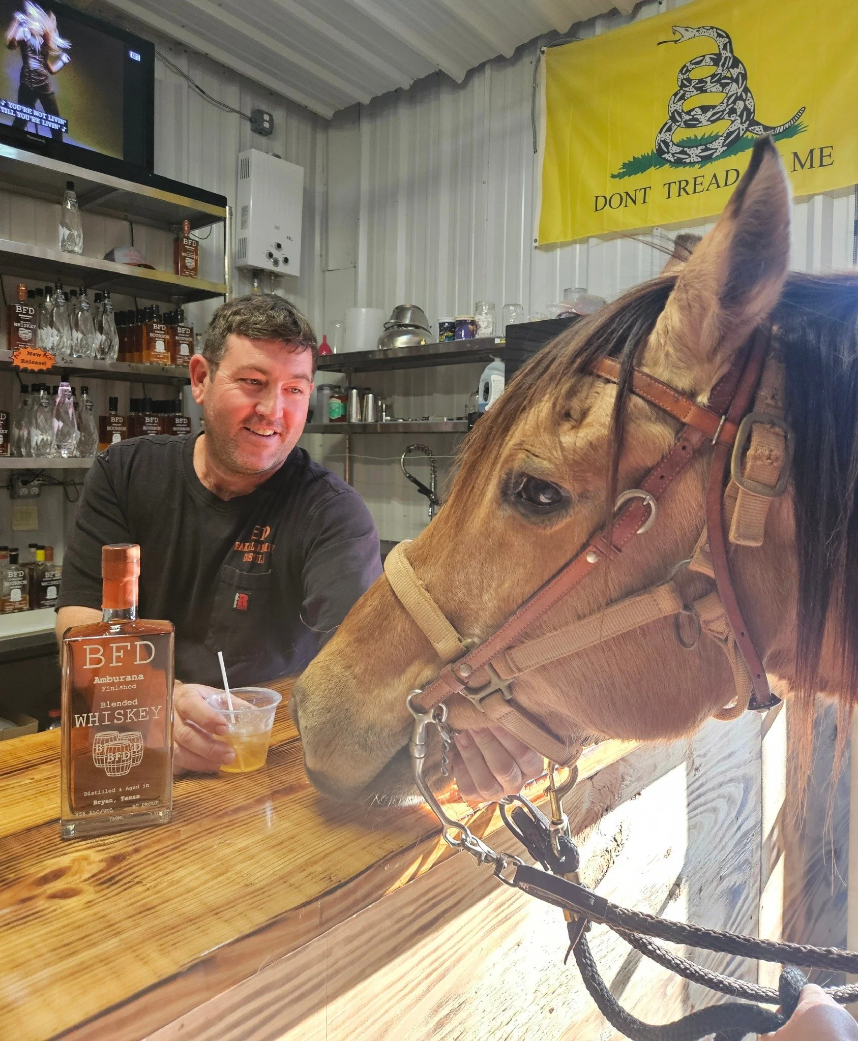 Finish this sentence 🐎
A horse walks into a bar ...

#bfdistilling #supportlocal #BCS  #texasyall #giddyup #TexasDistillery #whythelongface