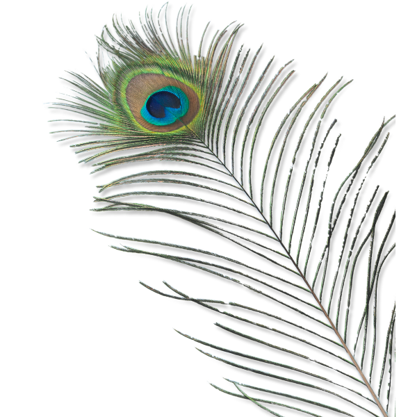 Untitled (2 x 2 in) (4).png