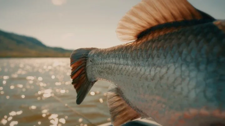 Moments from the pond&hellip; who&rsquo;s been on the slay this season?