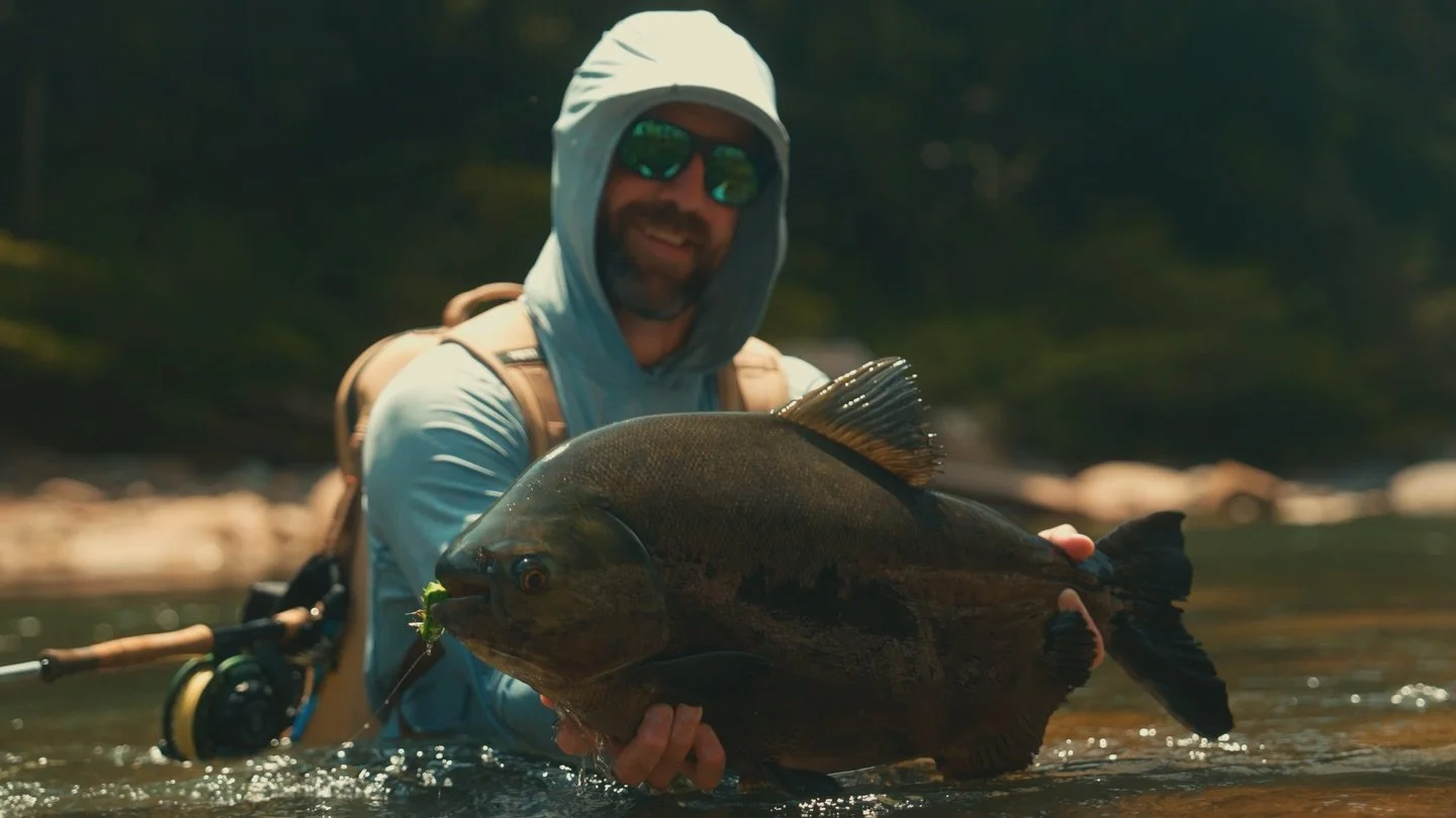 Bolivia, what a time was had! A few still frames from a recent project in the jungle with @captjackproductions showcasing the incredible Pacu on dry fly fishery at @tsimanelodges &hellip; this film will also premiere on the @flyfishingfilmtour circui