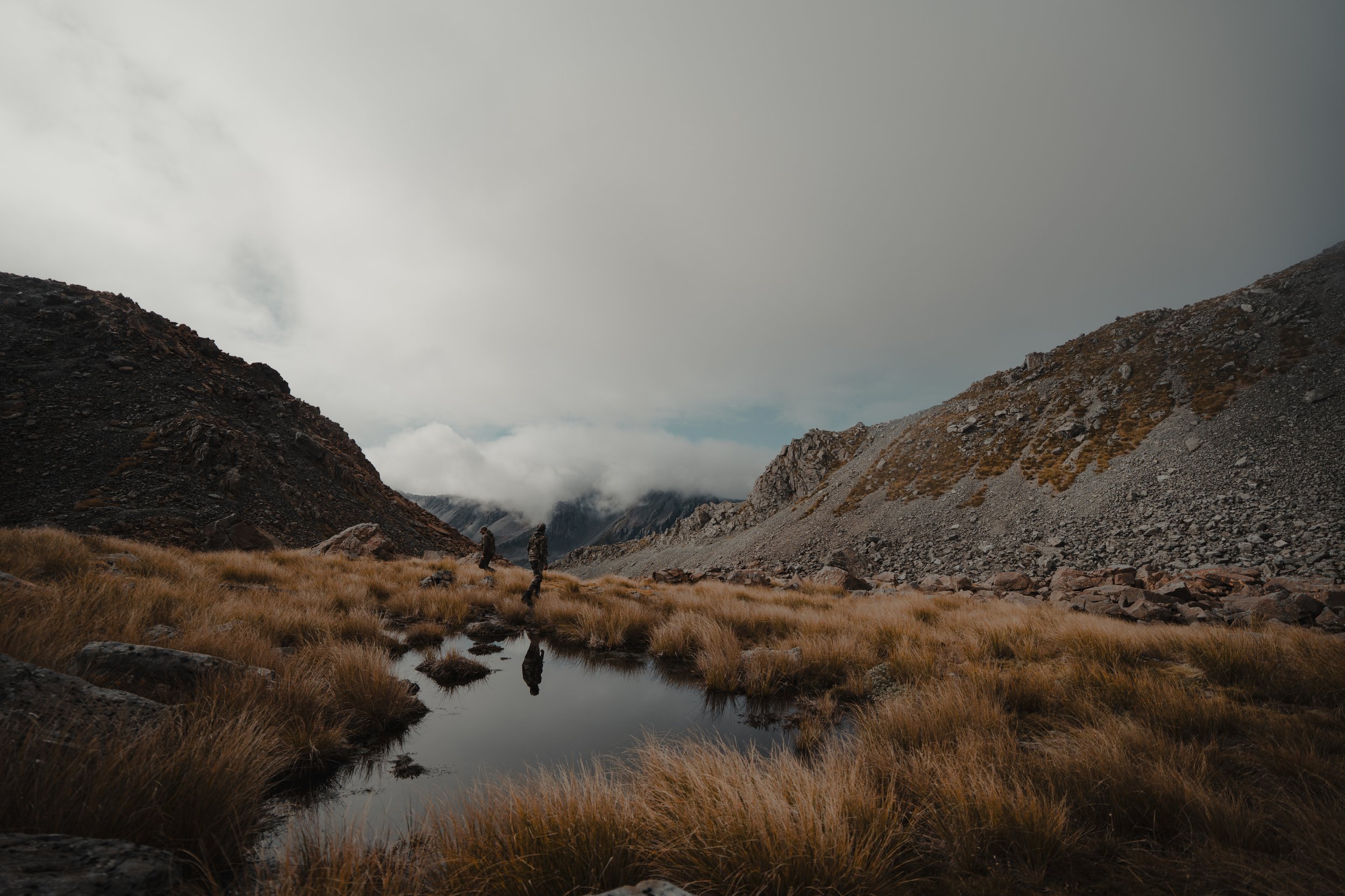 DSC08374FLOW STATE PRODUCTIONS MEDIA - PHOTOGRAPHY - VIDEOGRAPHY.jpg