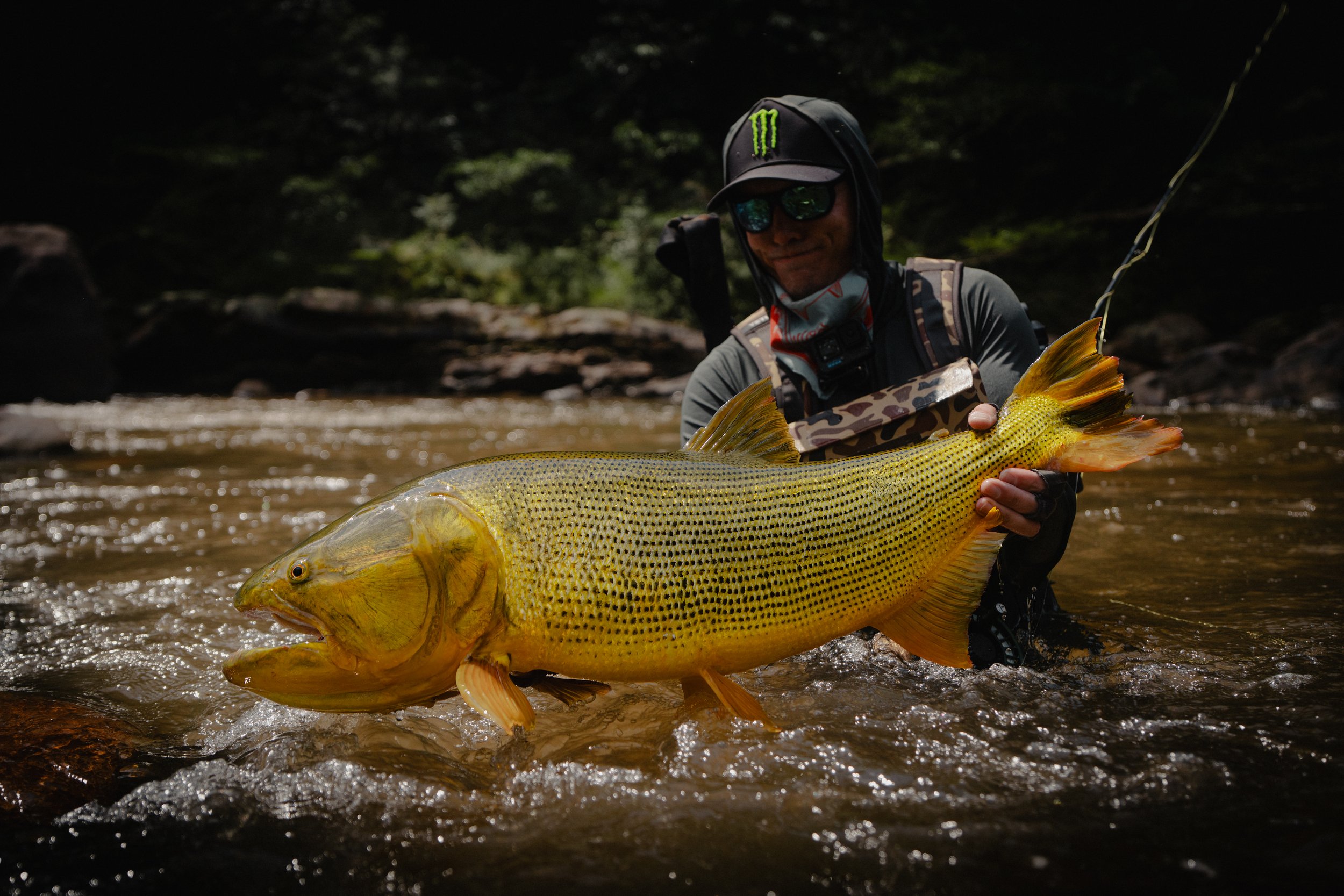 DSC00475-EditFLOW STATE PRODUCTIONS MEDIA - PHOTOGRAPHY - VIDEOGRAPHY.jpg