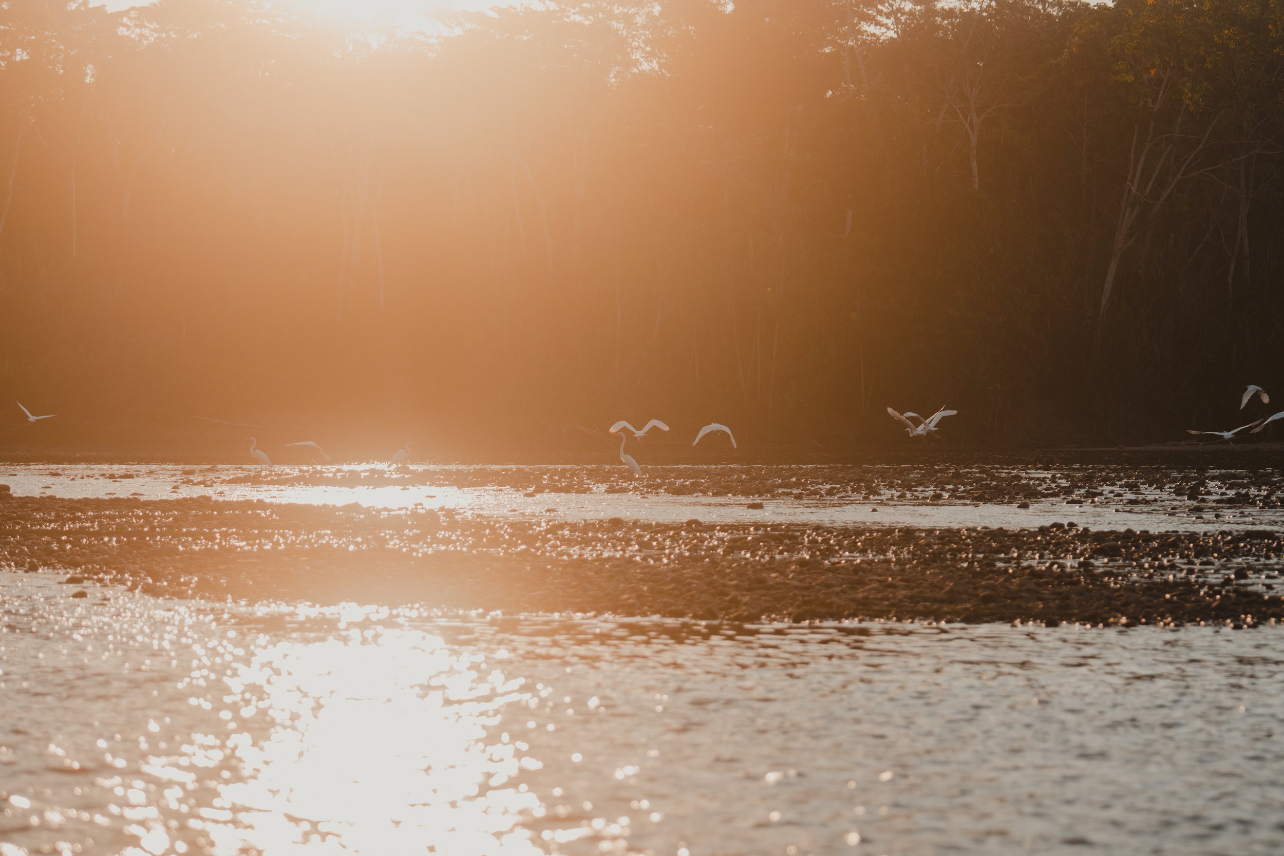 DSC06336FLOW STATE PRODUCTIONS MEDIA - PHOTOGRAPHY - VIDEOGRAPHY.jpg