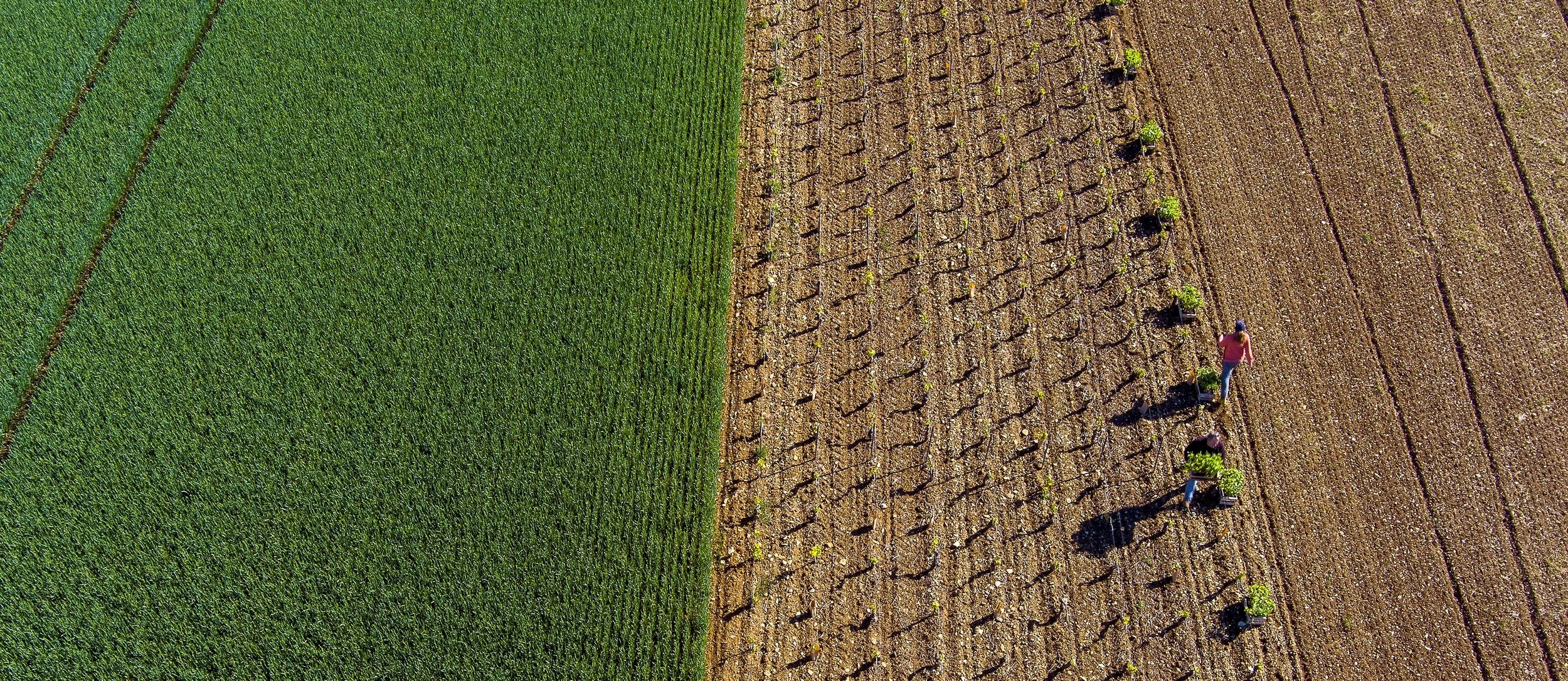 Maison Roche de Bellene 4.jpg