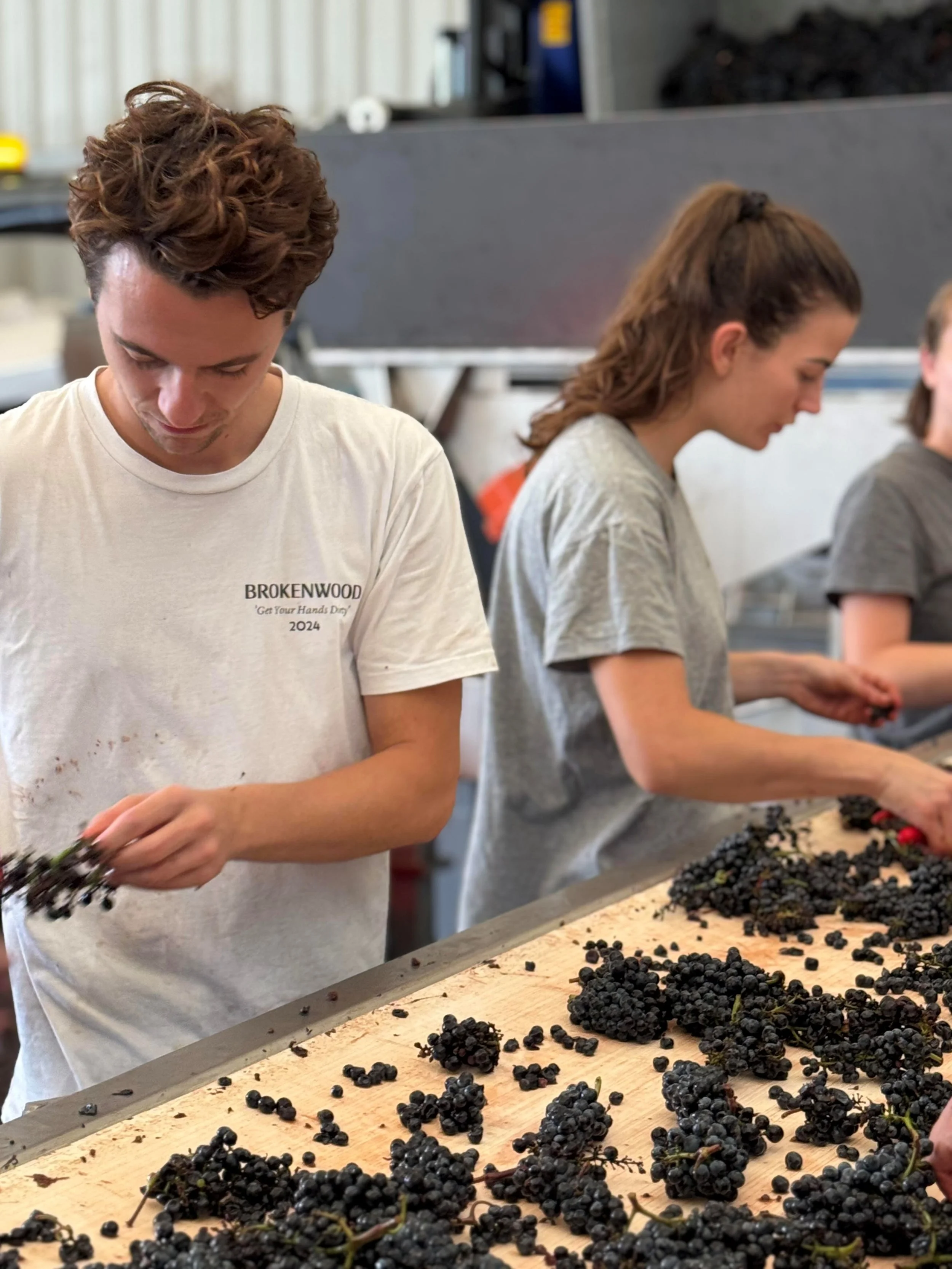 Maison Roche de Bellene 3.jpg