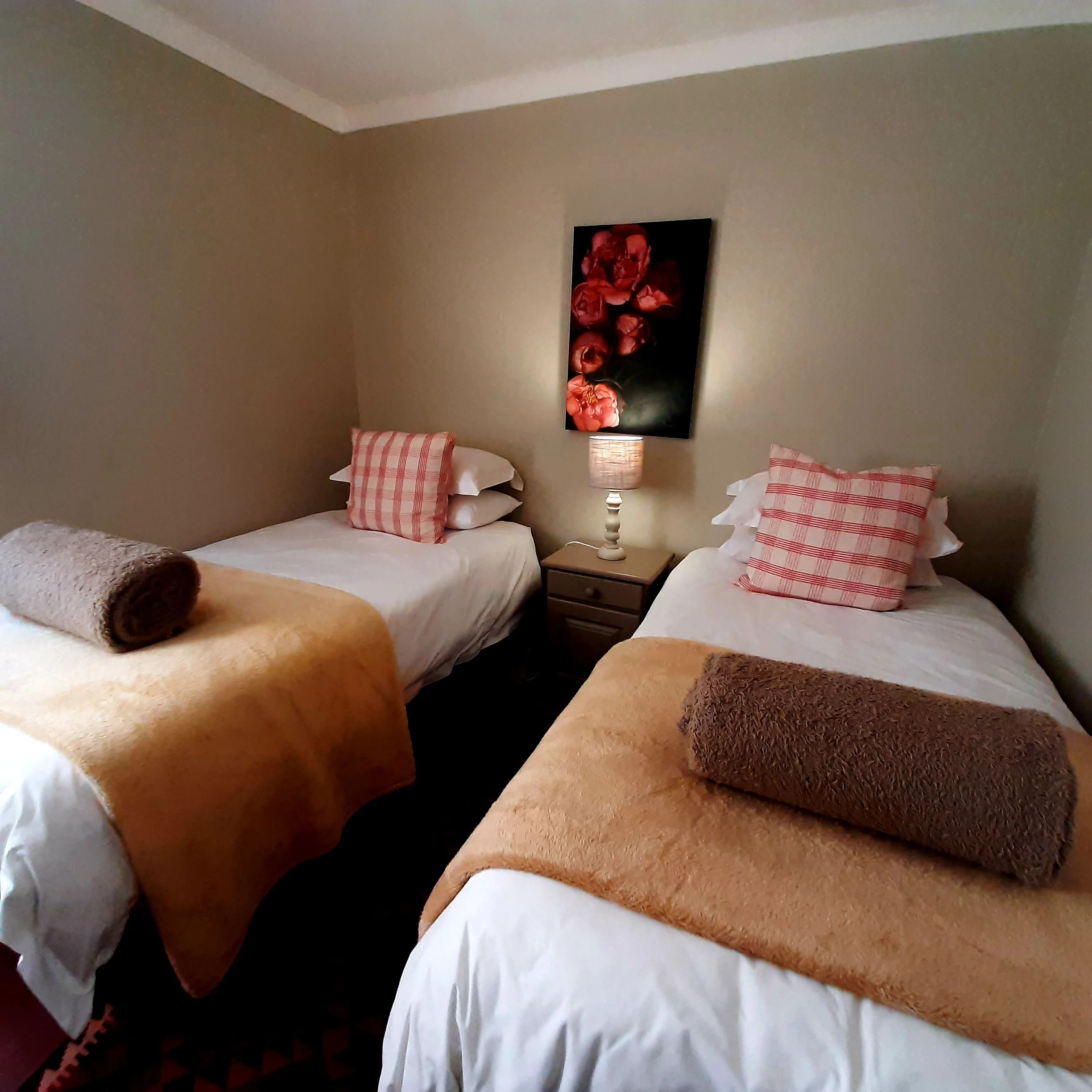 Schaefers Halt Dullstroom Self-Catering country cottages. Cloud Cottage
